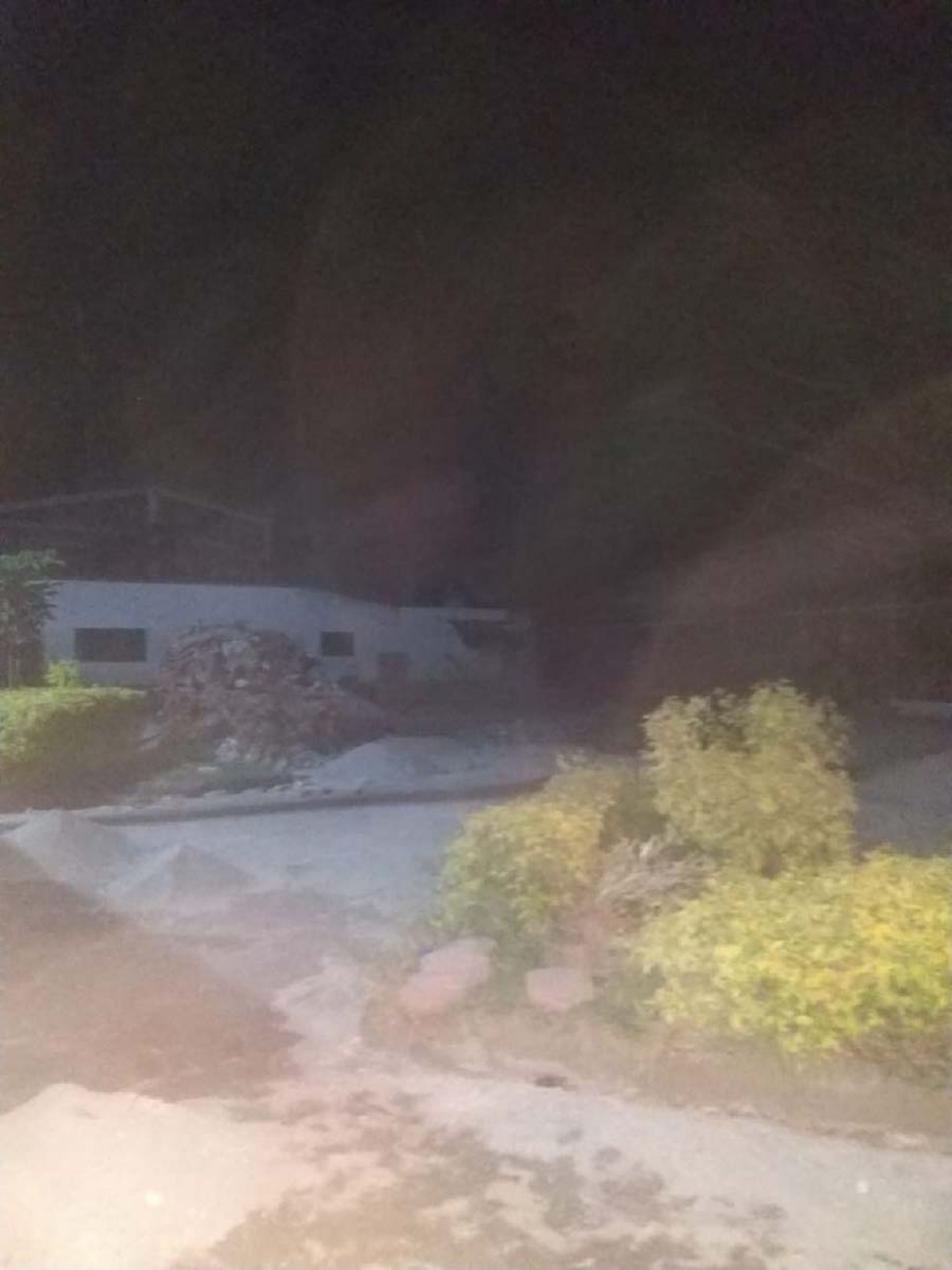 Se deslinda la Profepa de tala de árbol en Galeana
