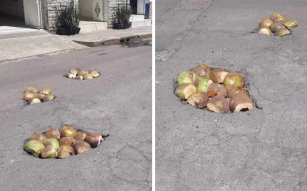 Tapan baches con cocos en calles de Nayarit