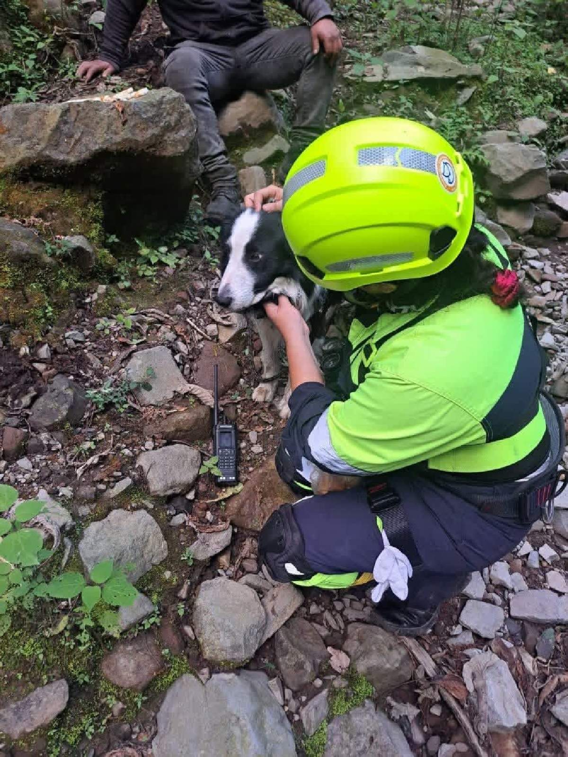 Hallan sin vida a alpinista reportado como desaparecido