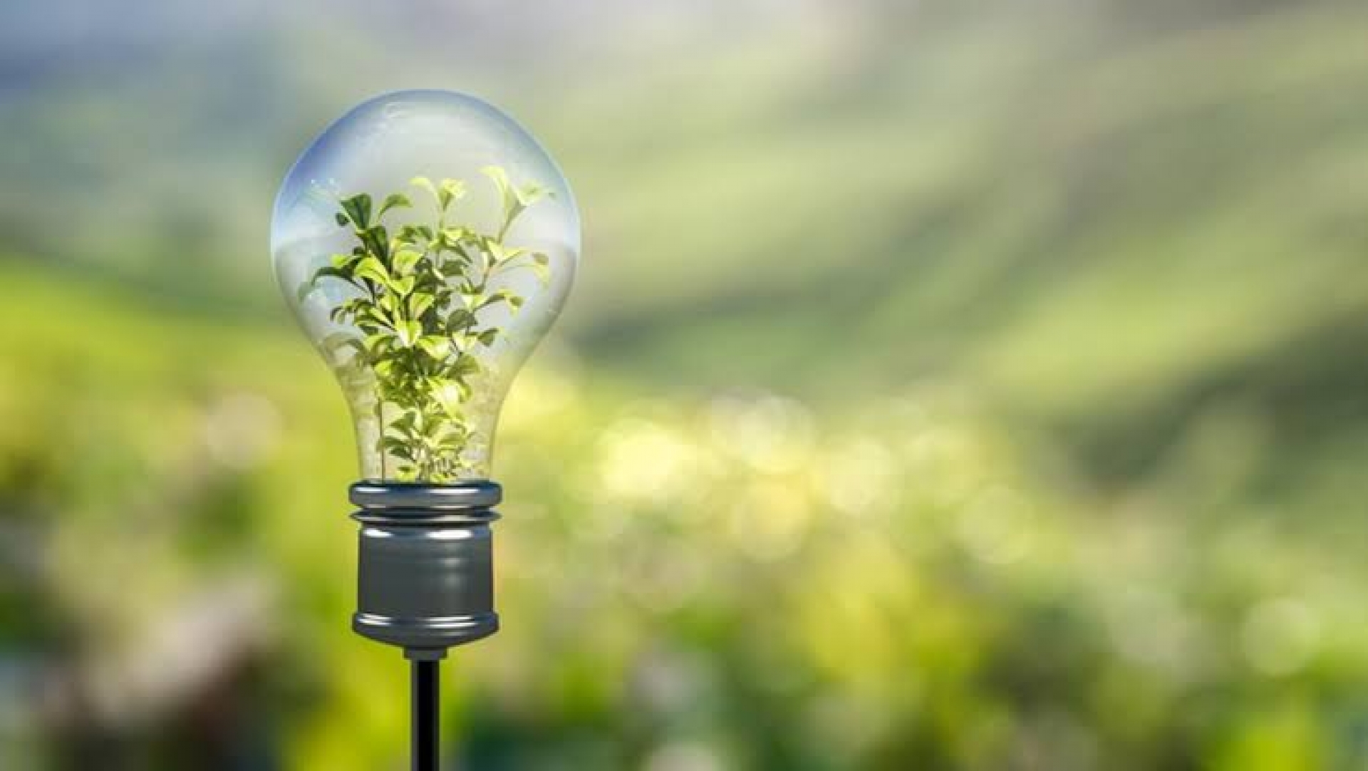 Nuestro papel en la transición energética