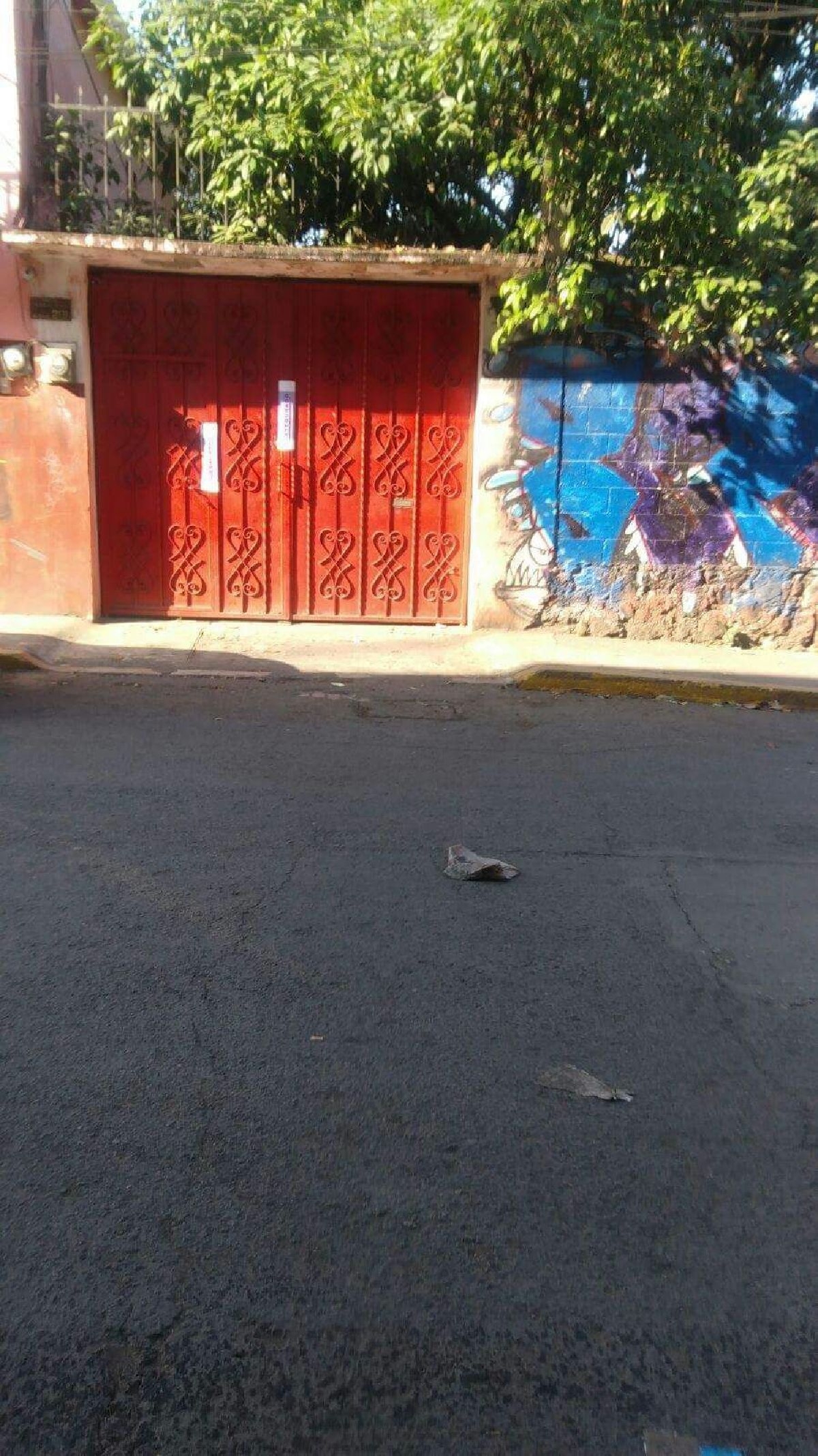 Otra mujer fue asesinada a golpes en la Satélite