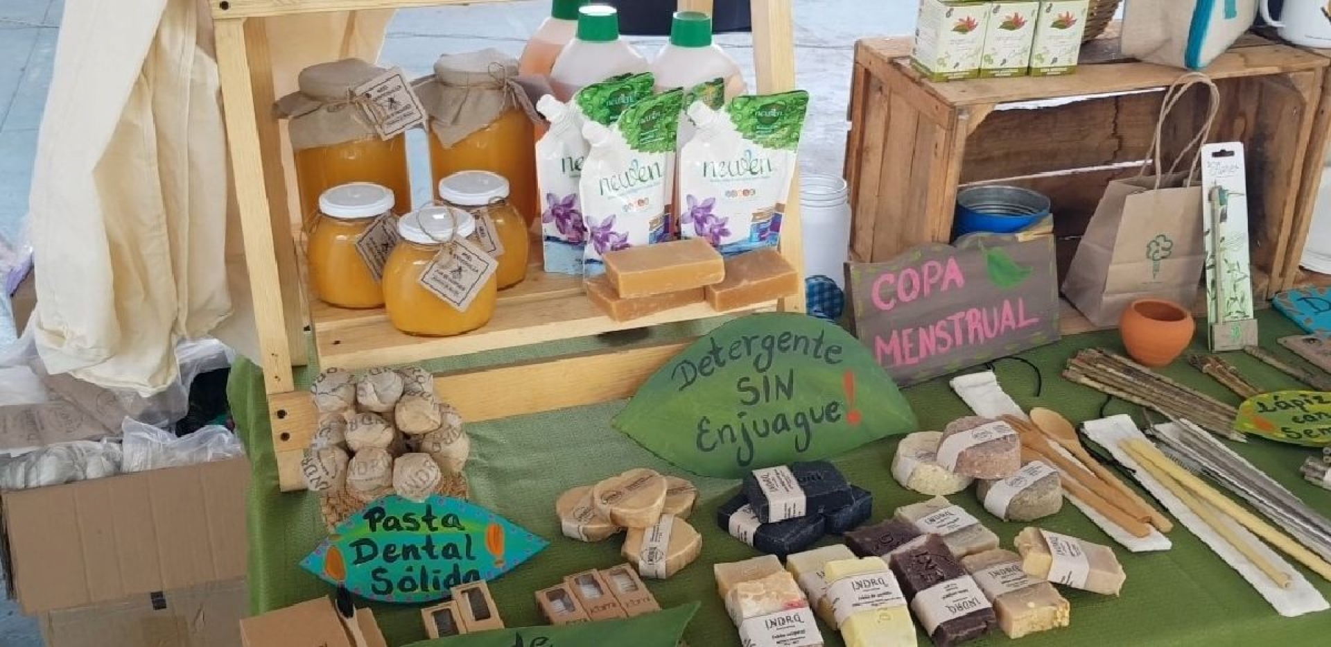 Empresa cuautlense lanza productos amigables con el medio ambiente