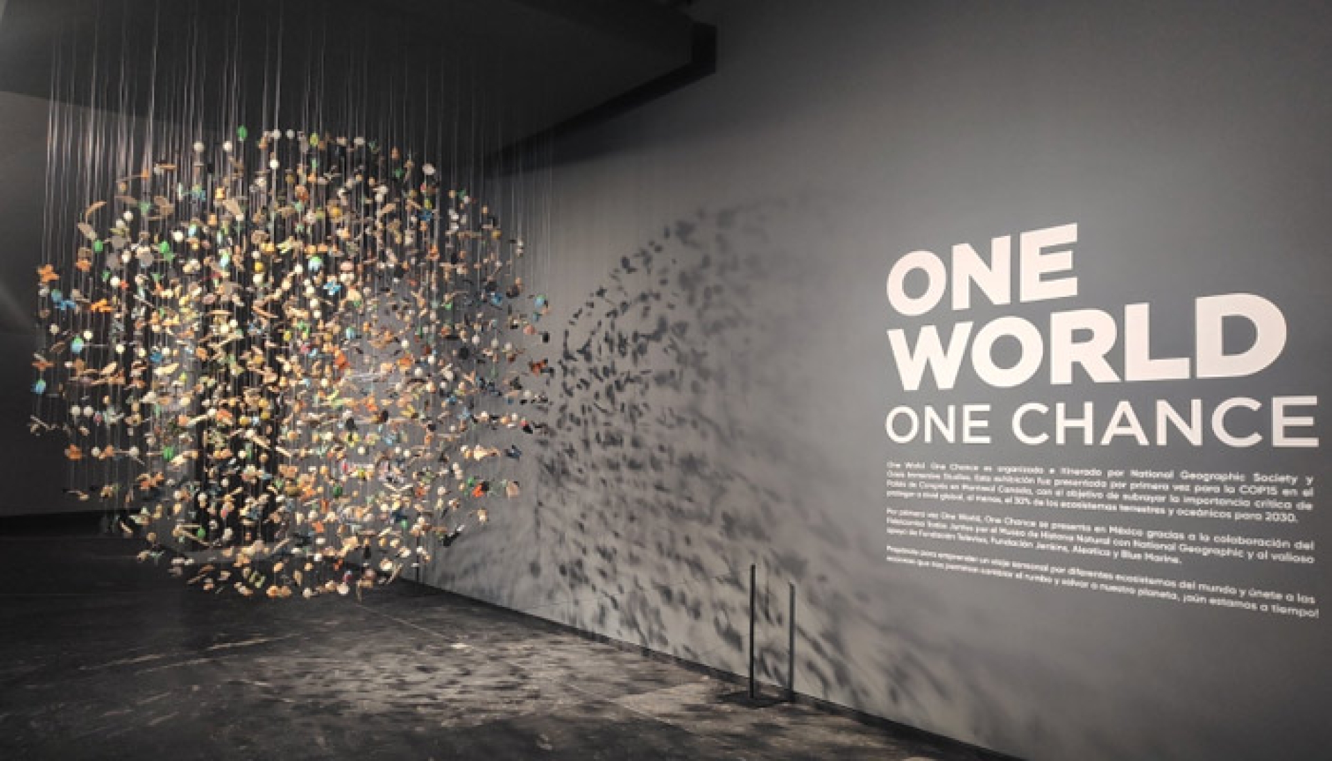 "One World, One Chance": Una experiencia inmersiva sobre la naturaleza