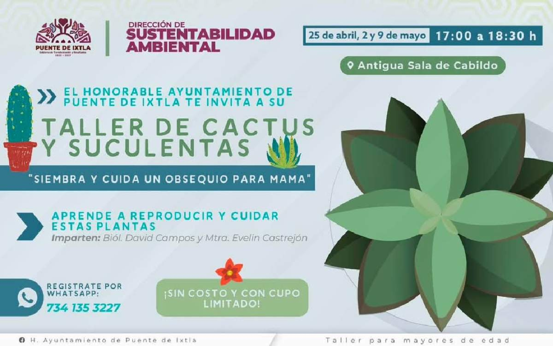 Promueven taller de cactus y suculentas en Puente de Ixtla