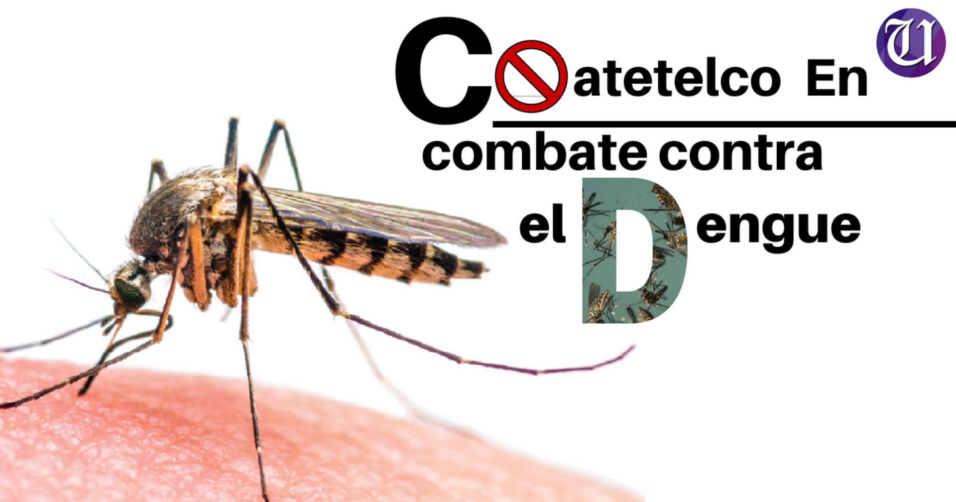 Piden habitantes de Coatetelco acciones de combate contra el Dengue