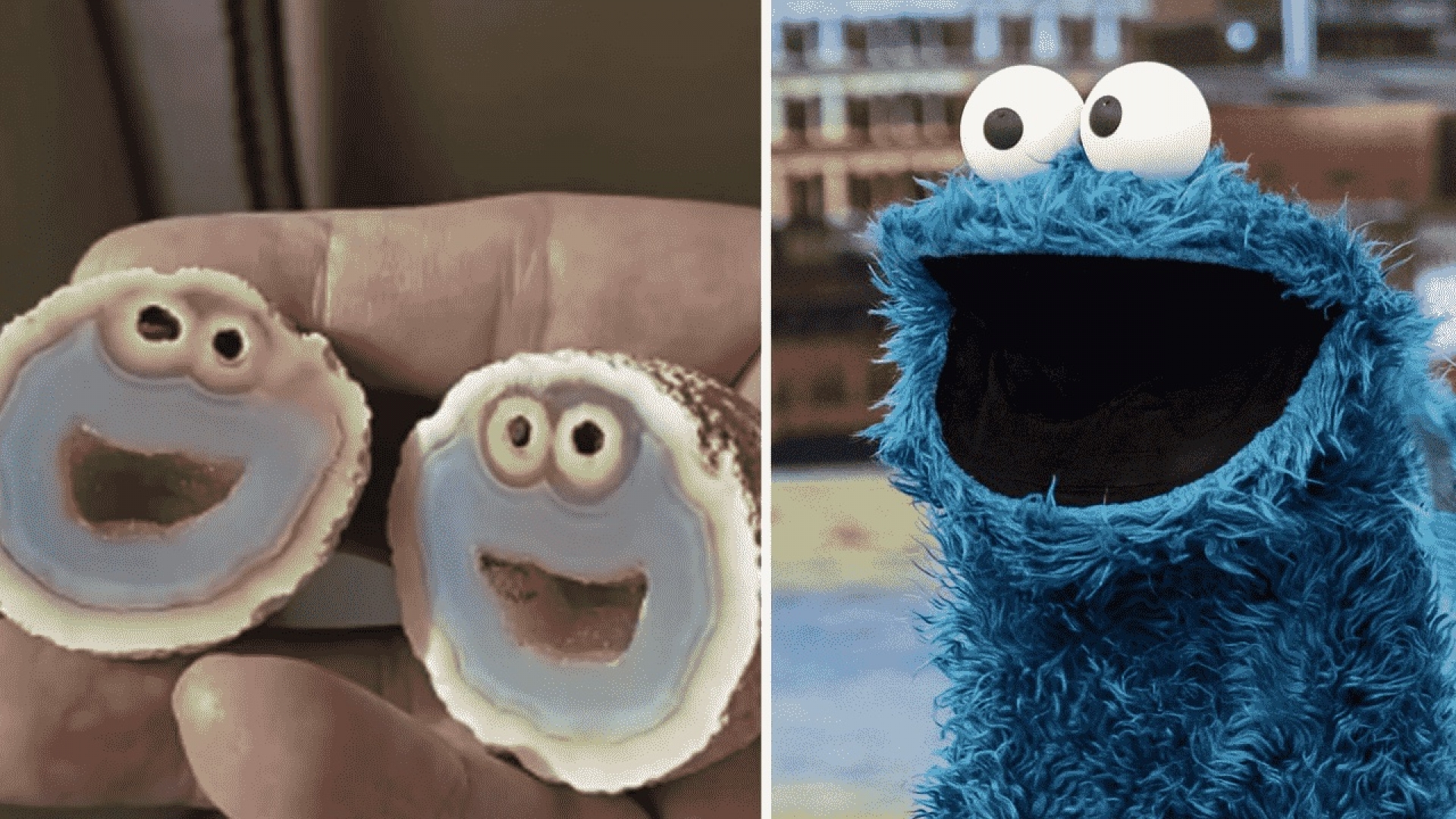 Encuentran extraña roca volcánica con forma de Cookie Monster