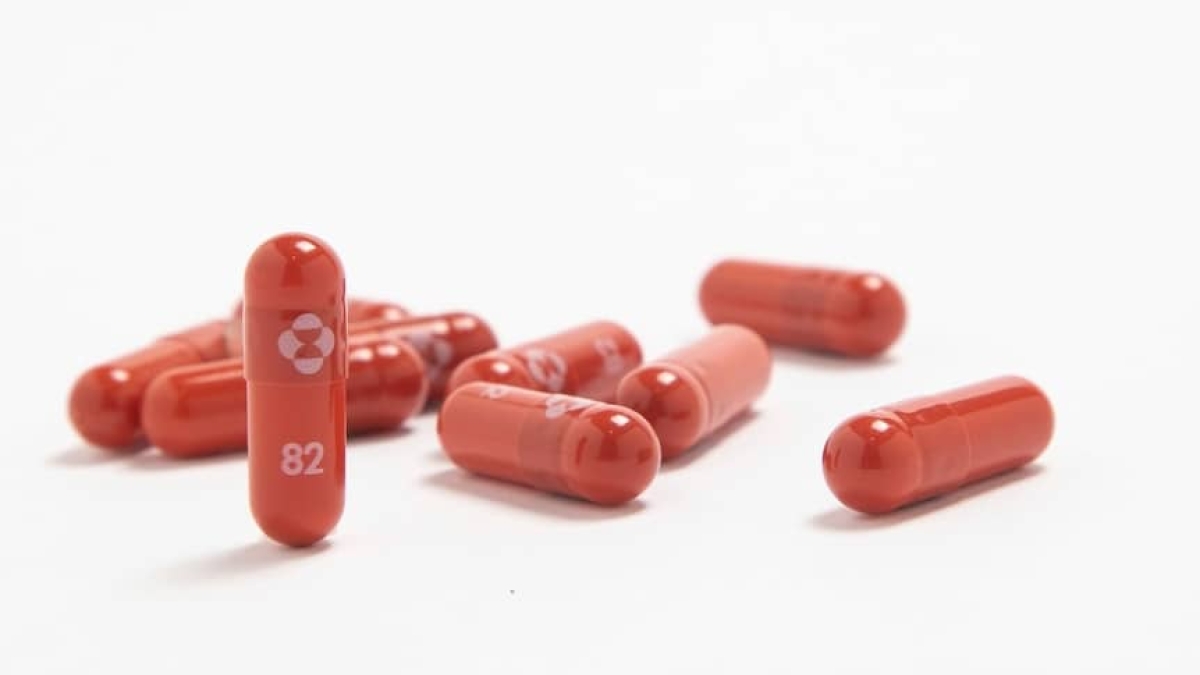 Estados Unidos alista compra de píldora contra COVID-19 de Pfizer