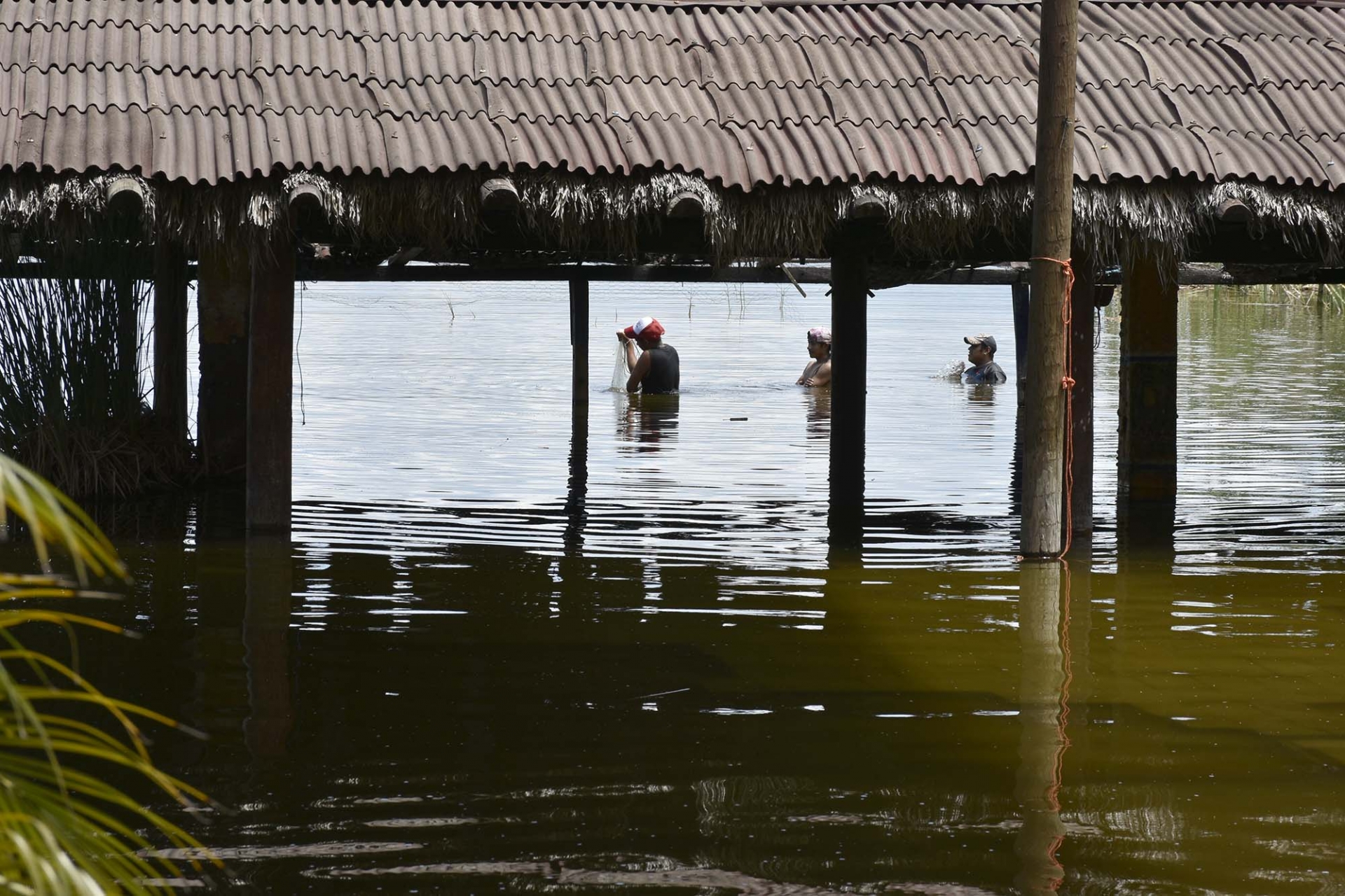 Pescadores suspenderán su fiesta guadalupana