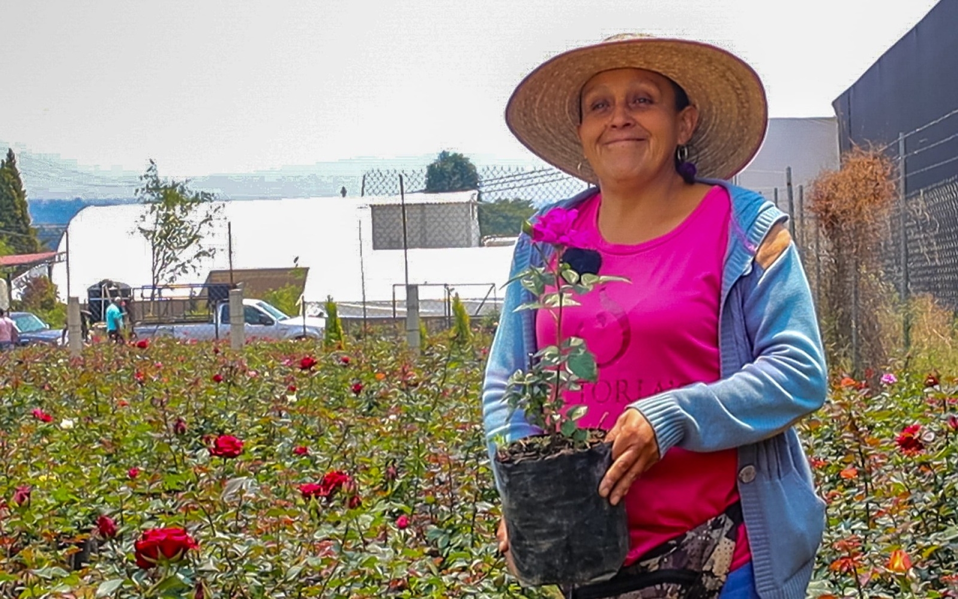 Invita Gobierno de Morelos a regalar '¡Flores para mamá!'