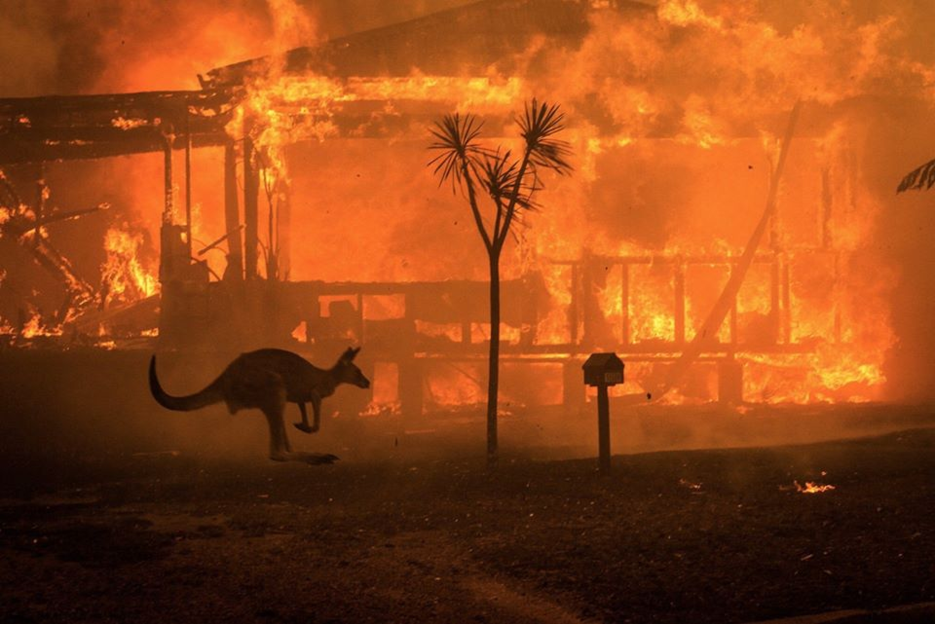 Pide Australia a sus ciudadanos evacuar ante incendios fuera de control