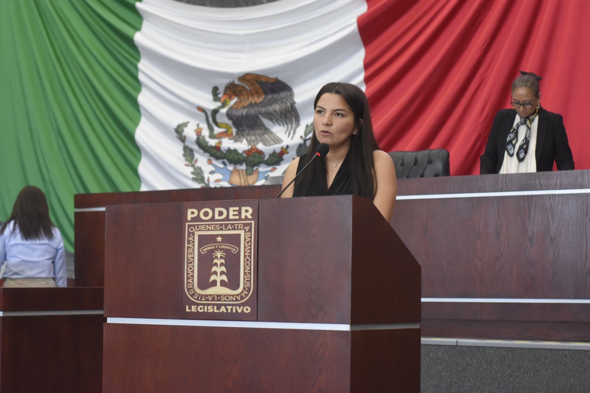 Presenta diputada Melissa Montes de Oca iniciativa para crear el delito de violación a persona menor
