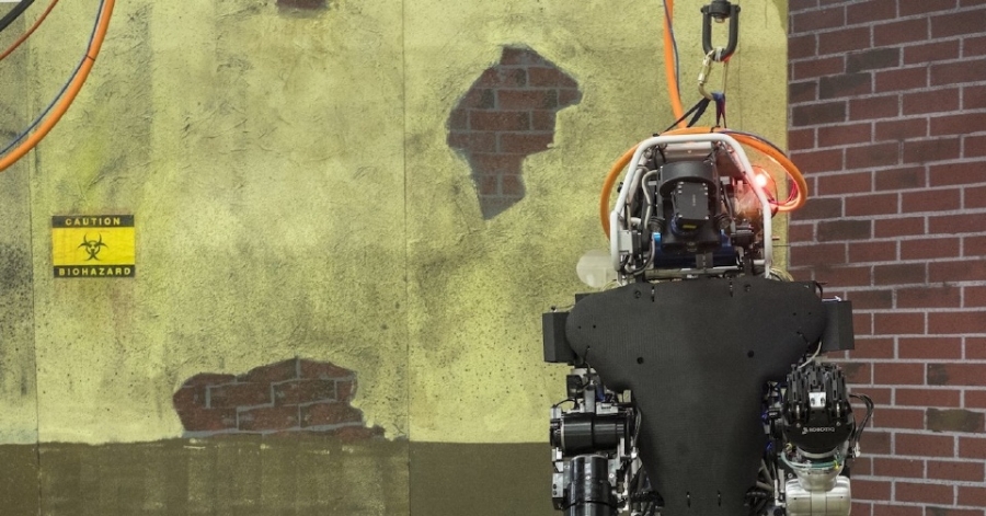 Ellos, ¿robots? (II)