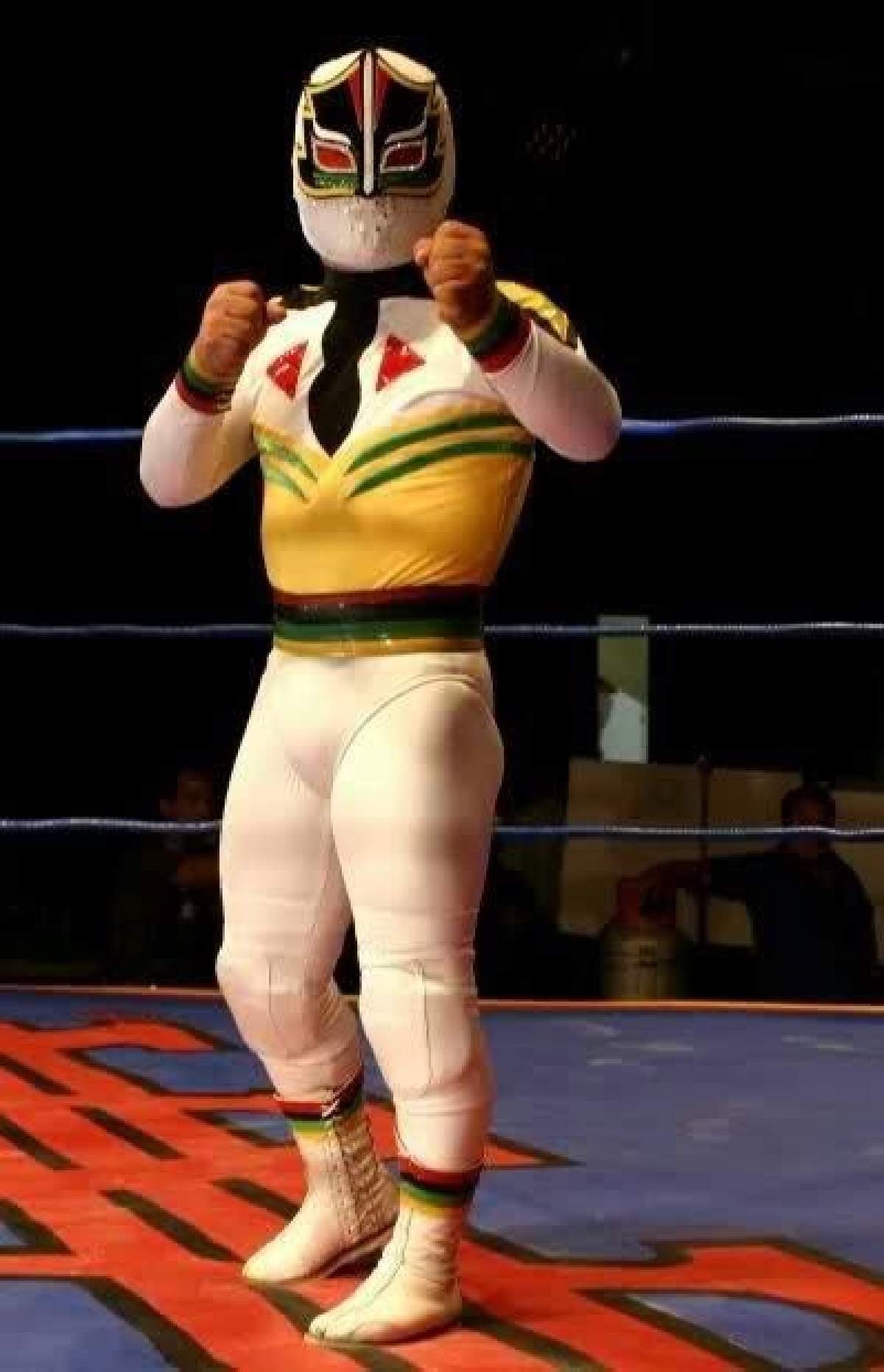 Rendirán homenaje a Mascarita Sagrada