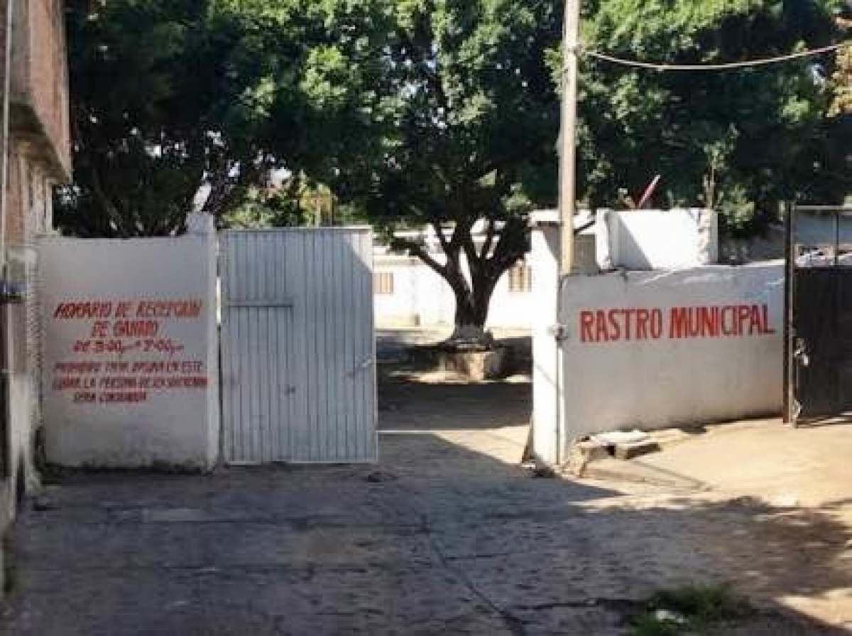 Reducen las descargas del rastro municipal de Puente de Ixtla al río Chalma