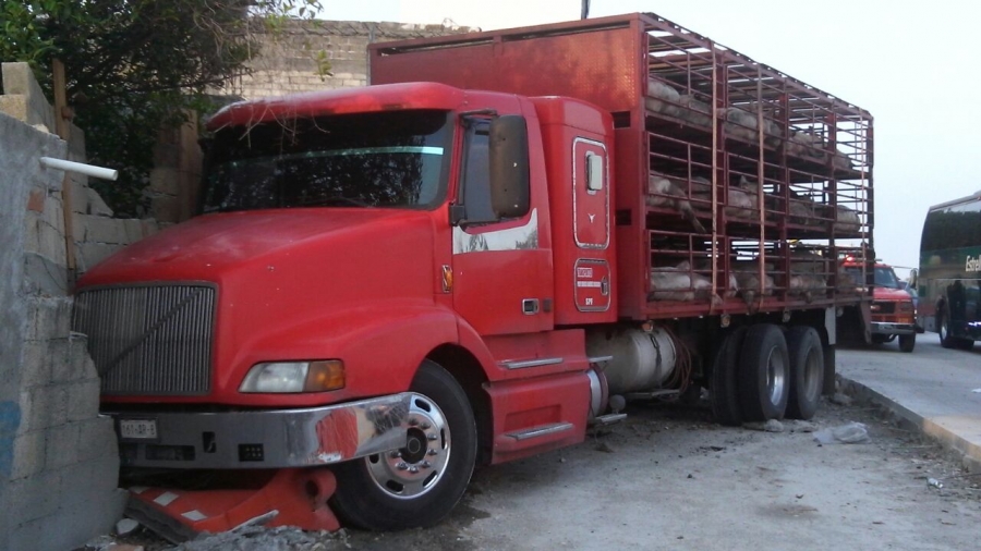 Camión cargado de cerdos chocó en Cuernavaca