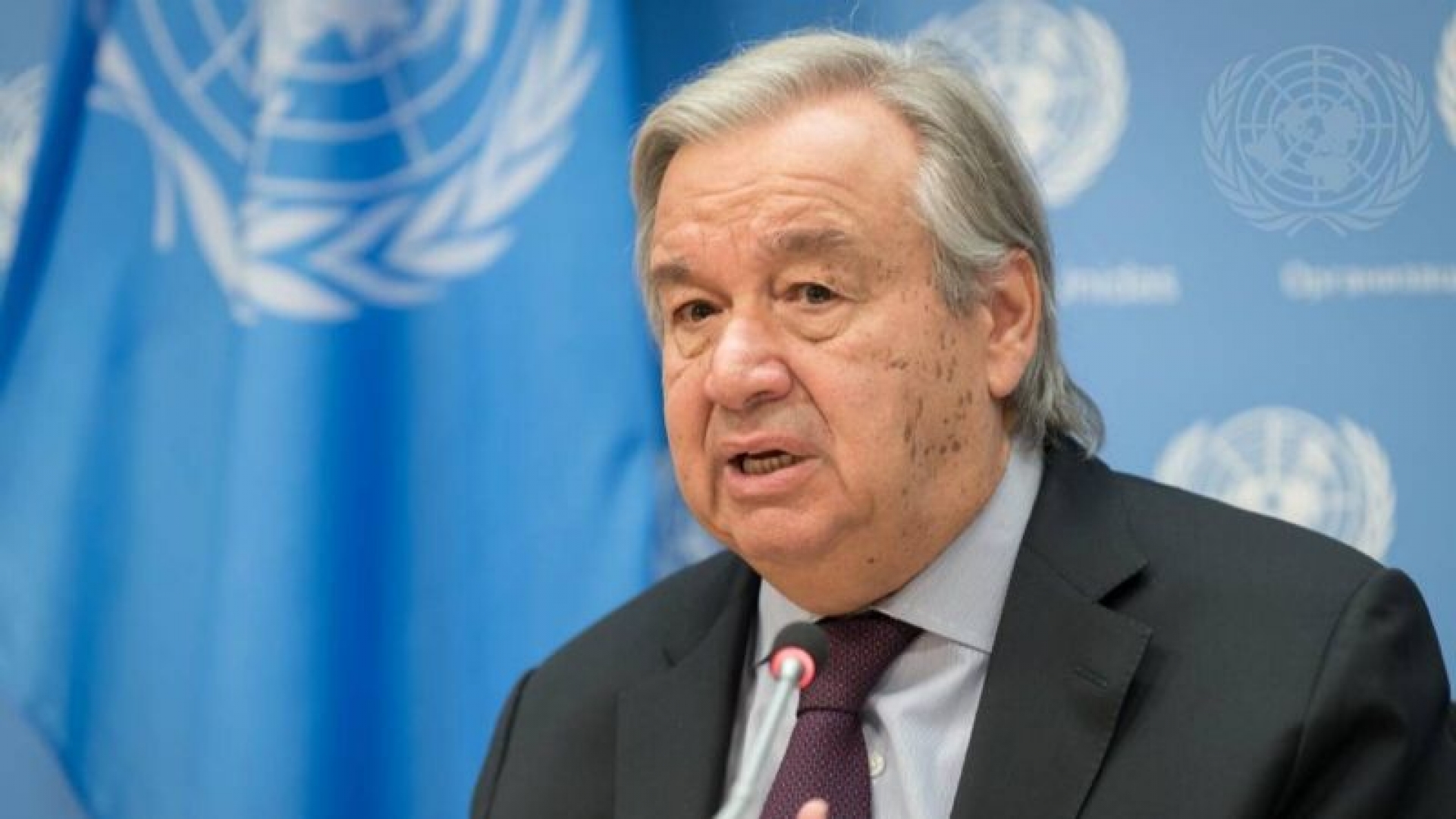 Preocupa a la ONU el poder que tienen las redes sociales sobre los datos personales
