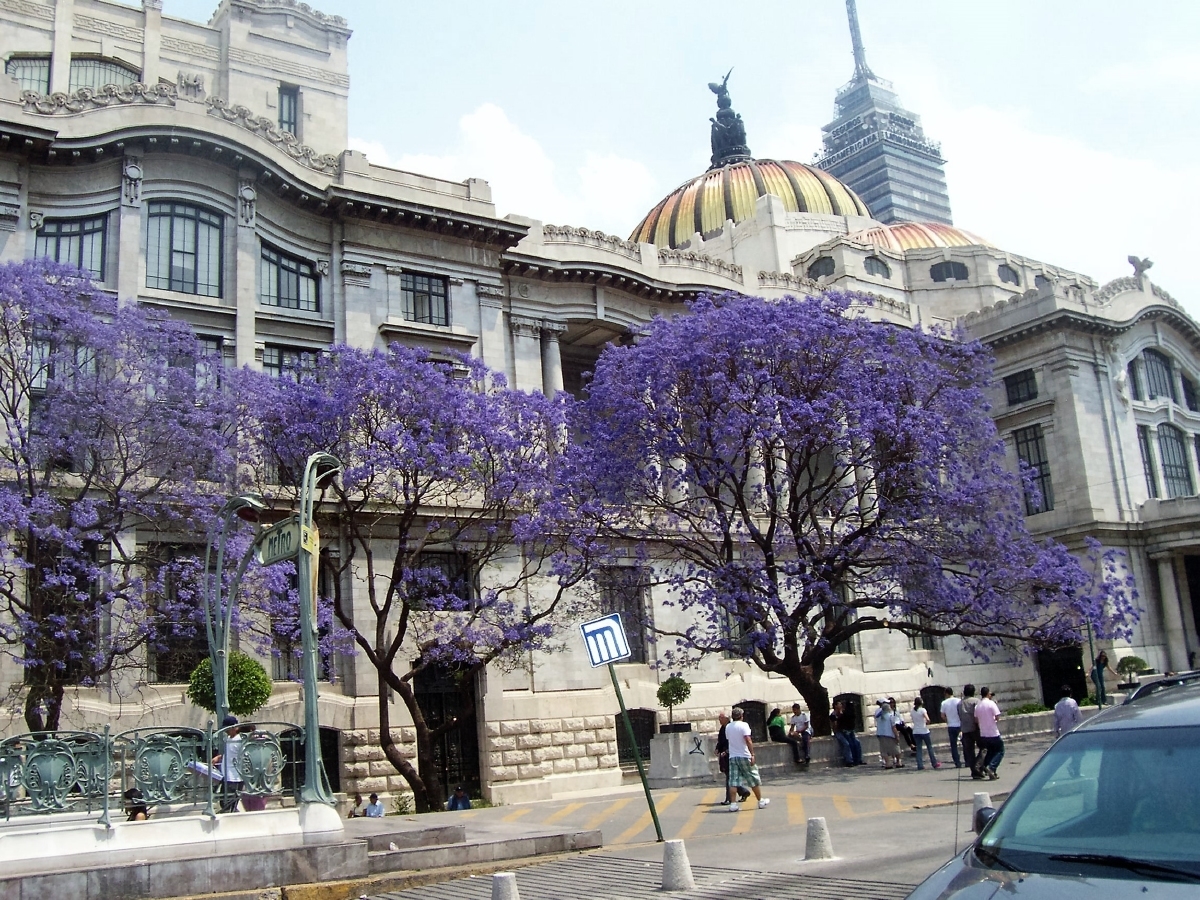 De cómo nació algarrobilandia