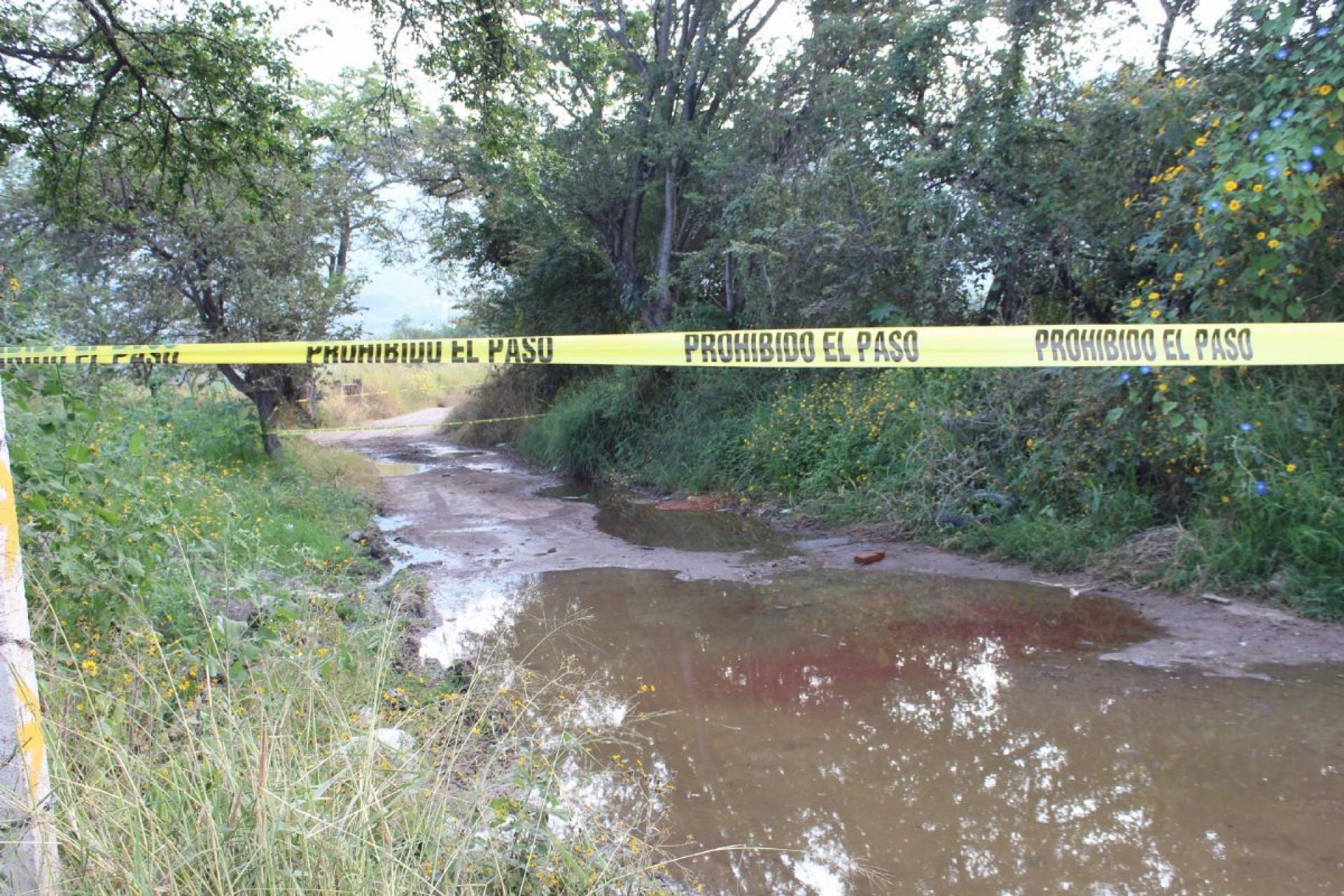 Un hombre fue asesinado en Zapata