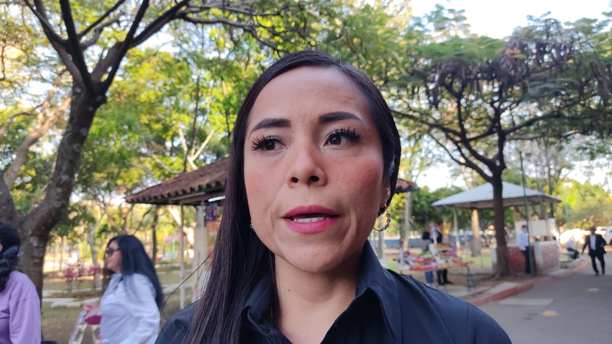 Tramita IMEM hasta 20 denuncias al día por violencia