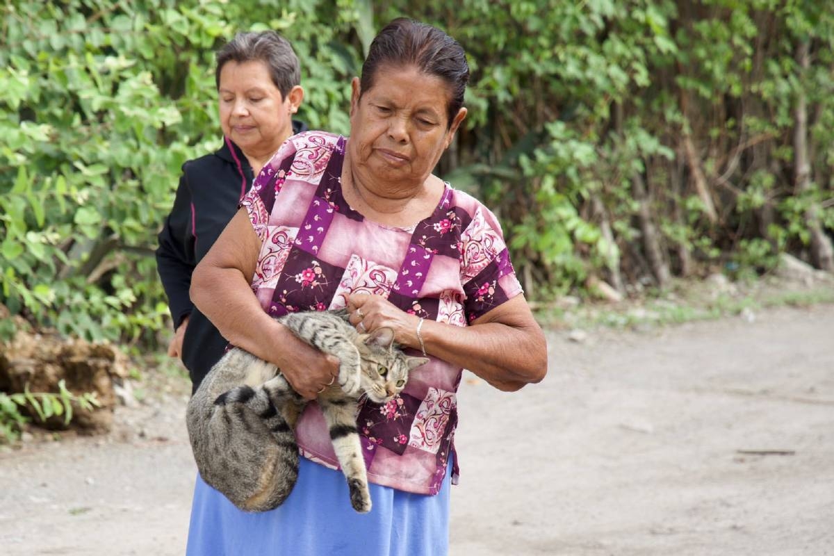 Realizan campaña de vacunación antirrábica gratuita en Tlaquiltenango