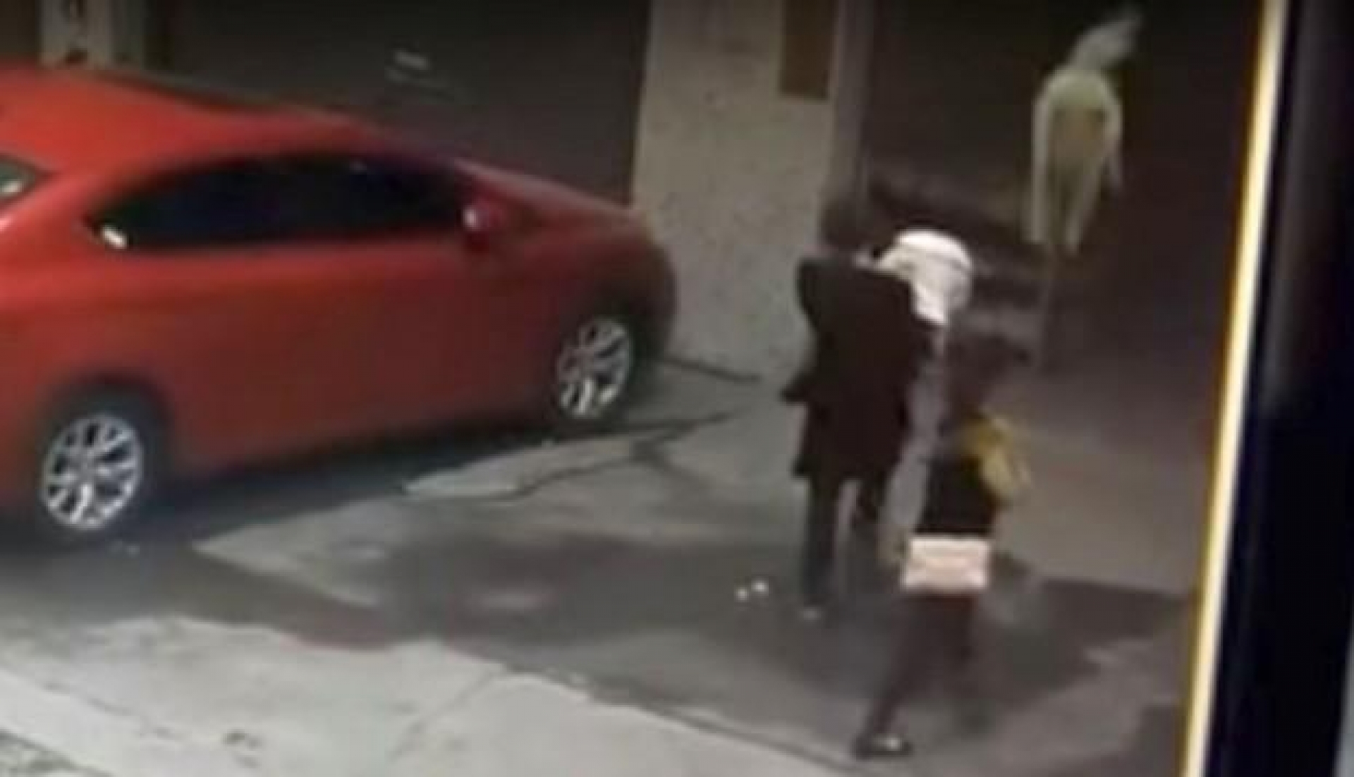 VIDEO: Le cae un perro en la cabeza y queda inconsciente