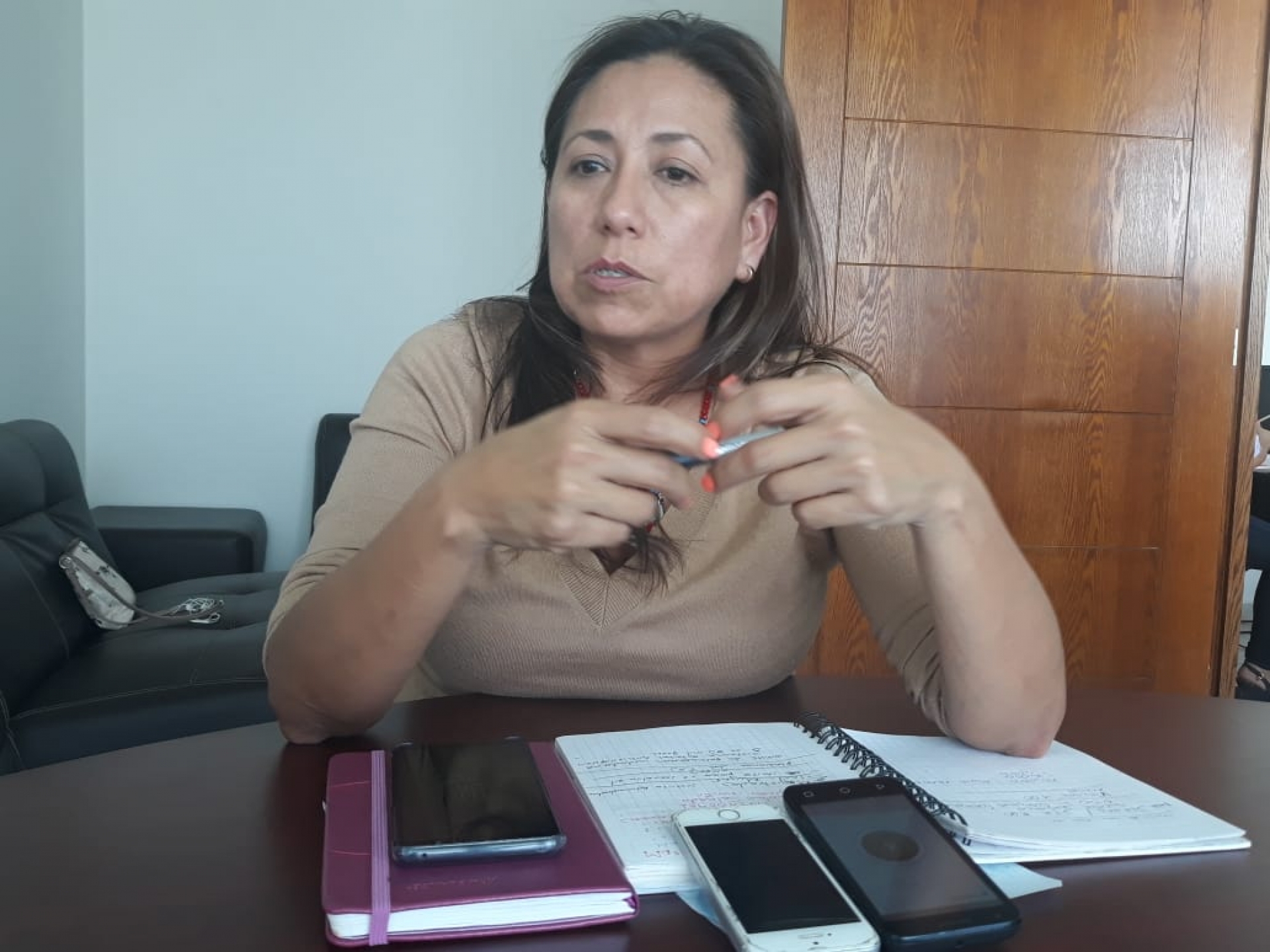 Se pronuncia diputada porque se atiendan temas pendientes