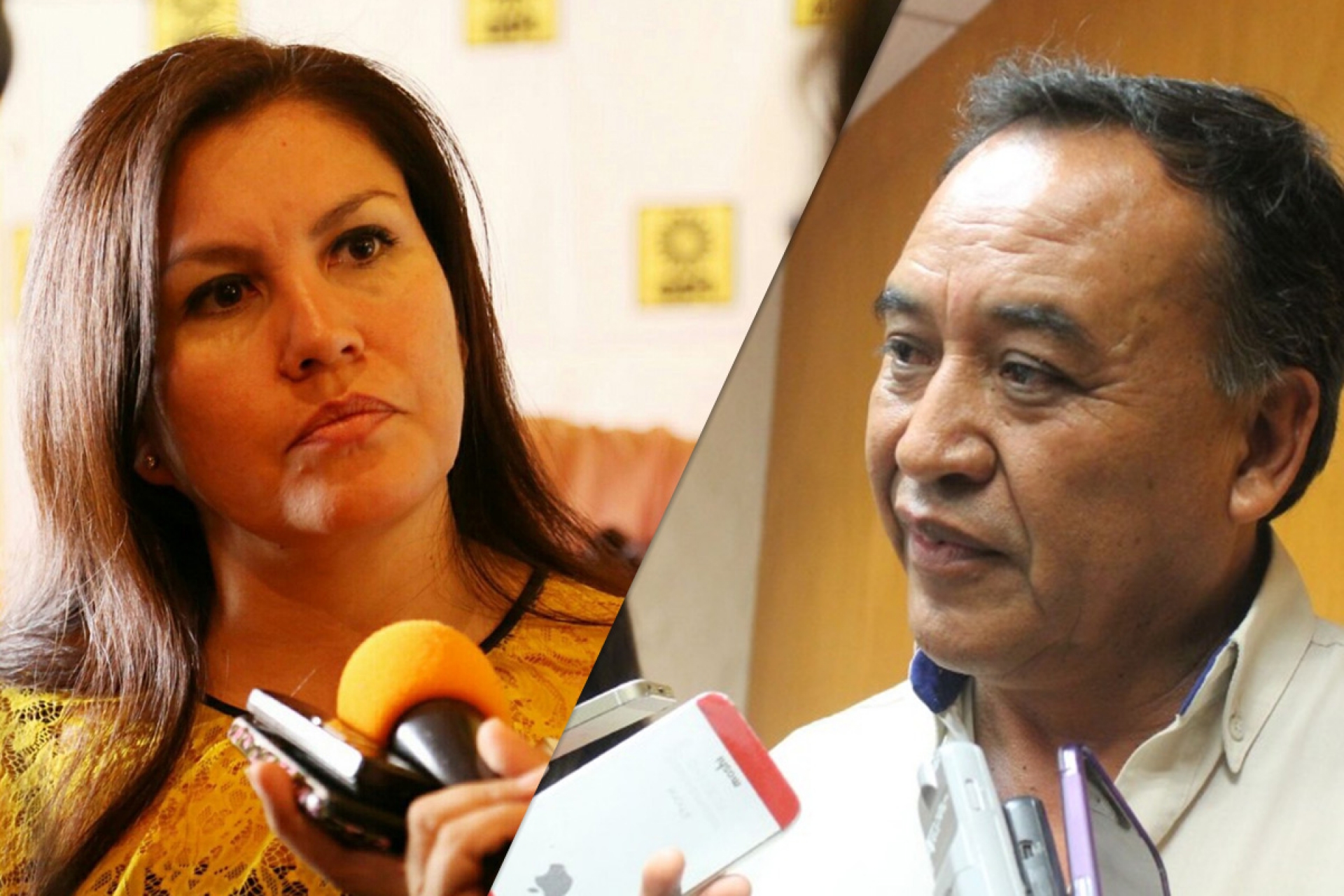 Asigna PRD candidaturas a cargos federales