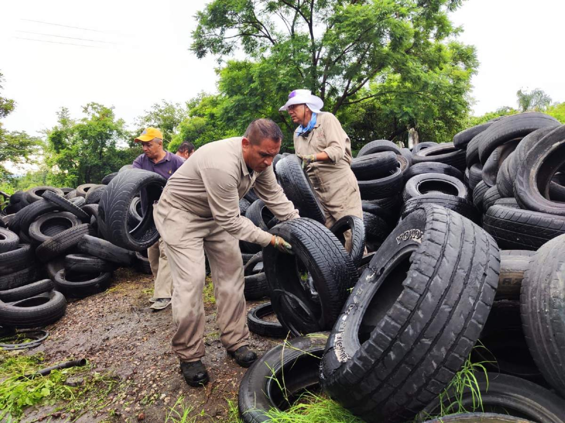Supera Cuautla meta de recolección de llantas en estrategia contra el dengue