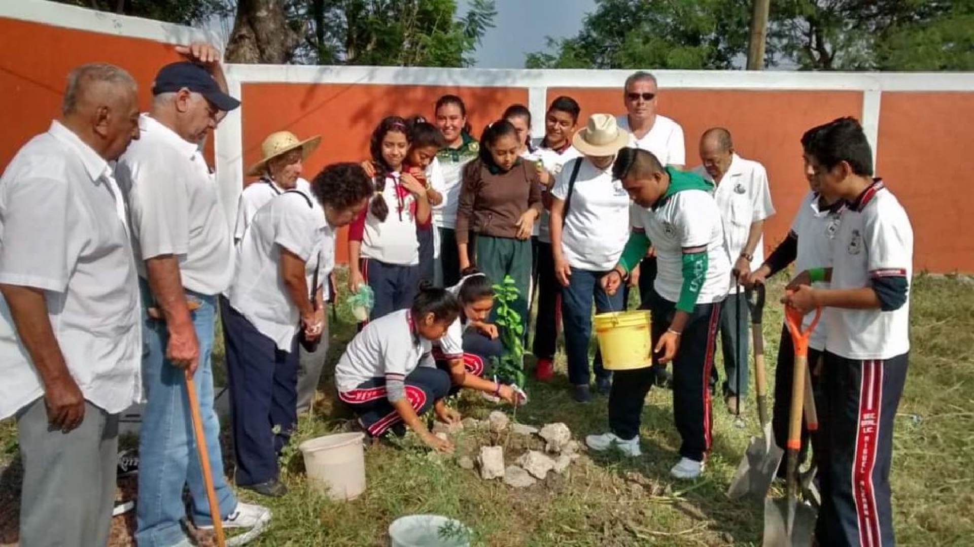 Plantan árboles en el sur poniente por el Día Mundial del Medio Ambiente