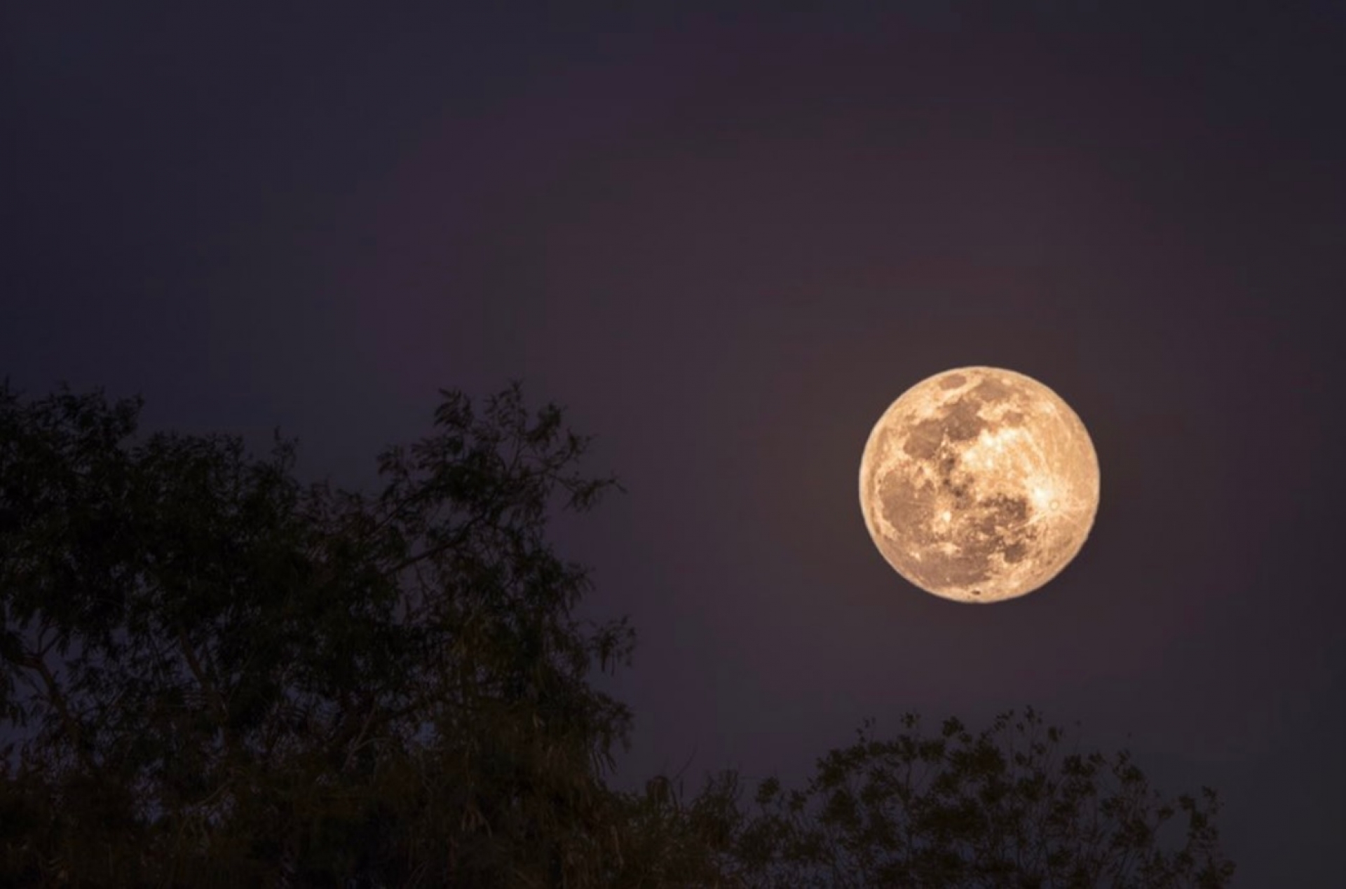 Cinco curiosidades de la Luna que no sabías