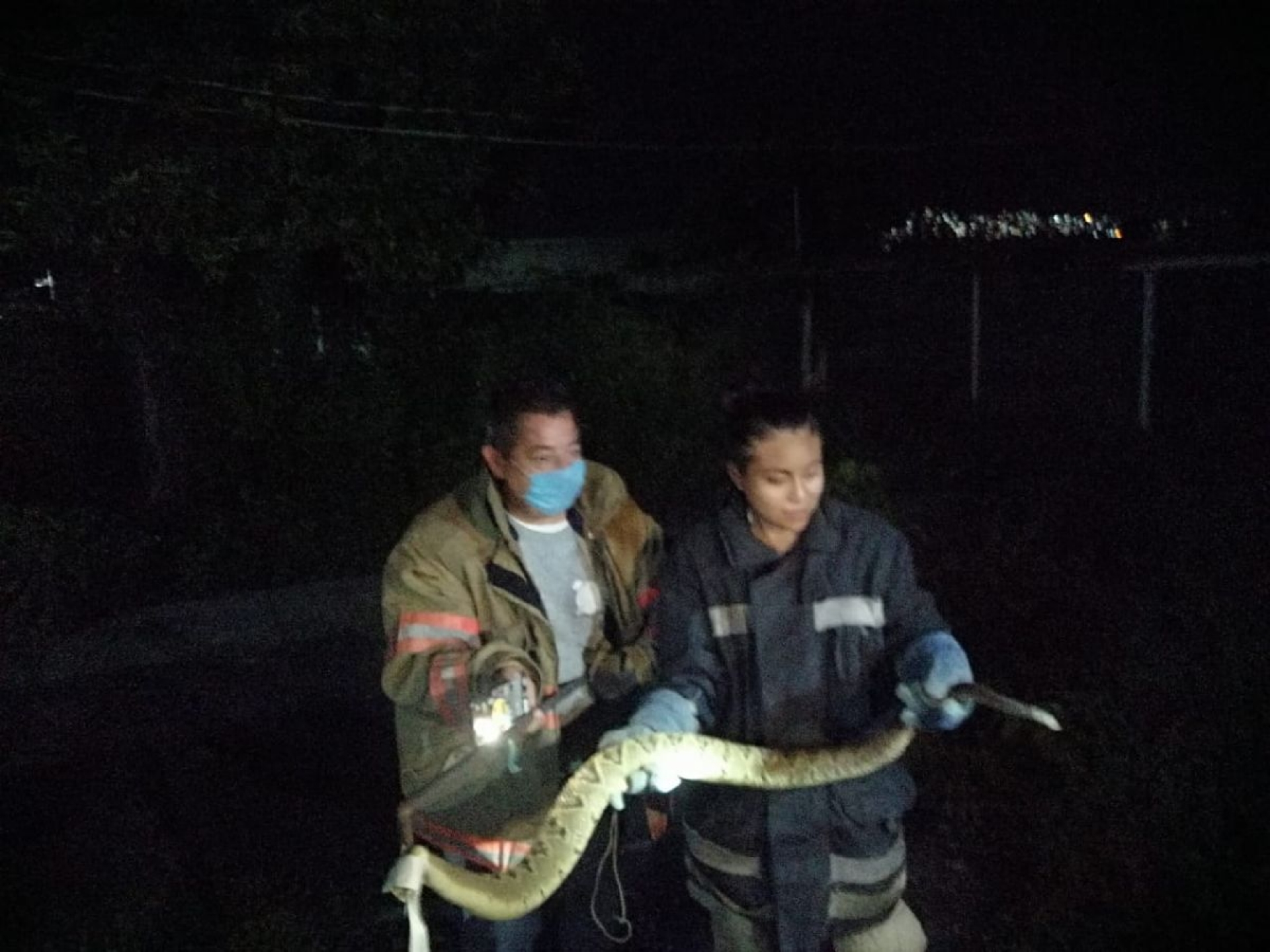 Encuentran víbora de cascabel en casa de la Unidad Morelos de Jojutla