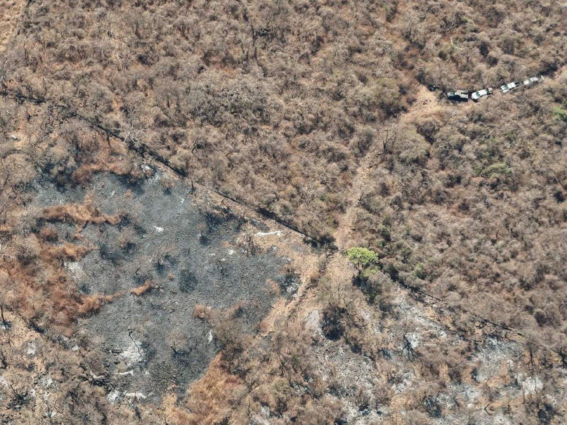 Helicóptero estatal, equipado para combatir incendios forestales