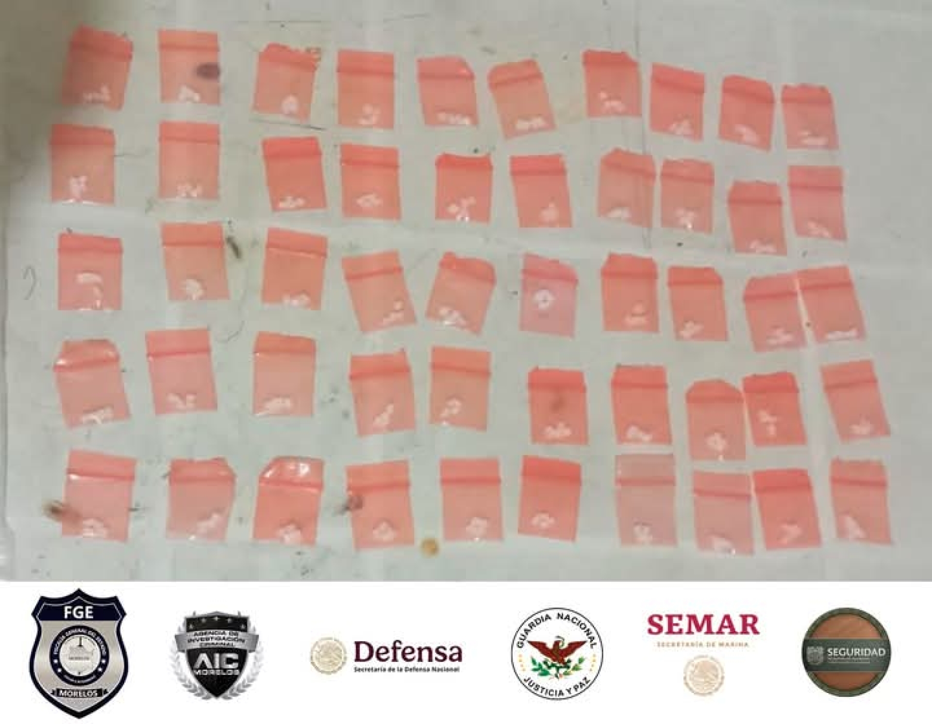 Incautan droga durante cateo en Tepalcingo