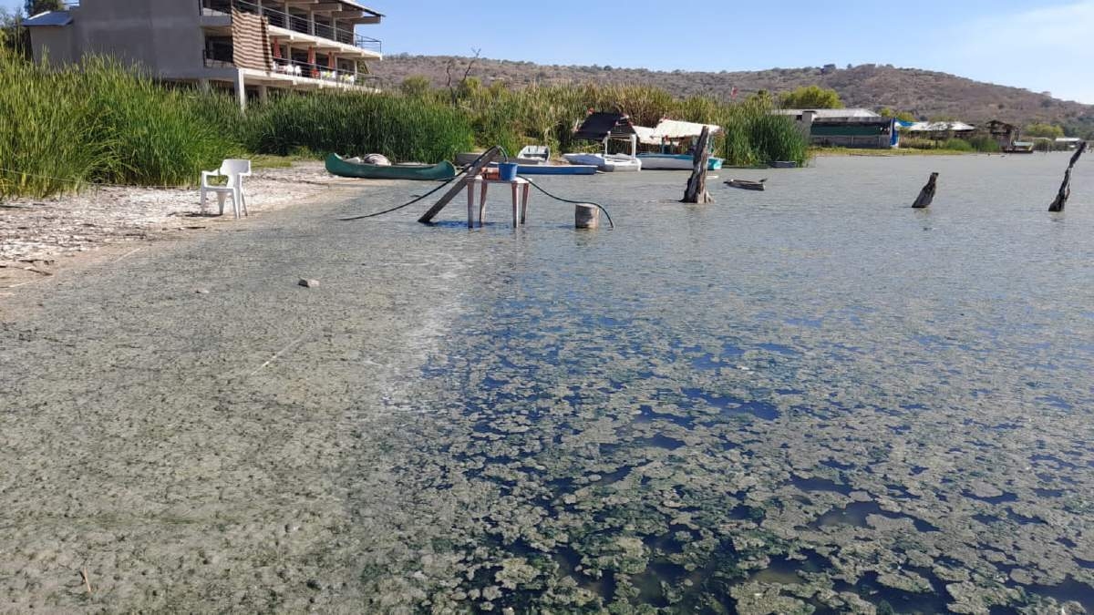 Coatetelco, con bajo nivel de agua y mucha alga invasora