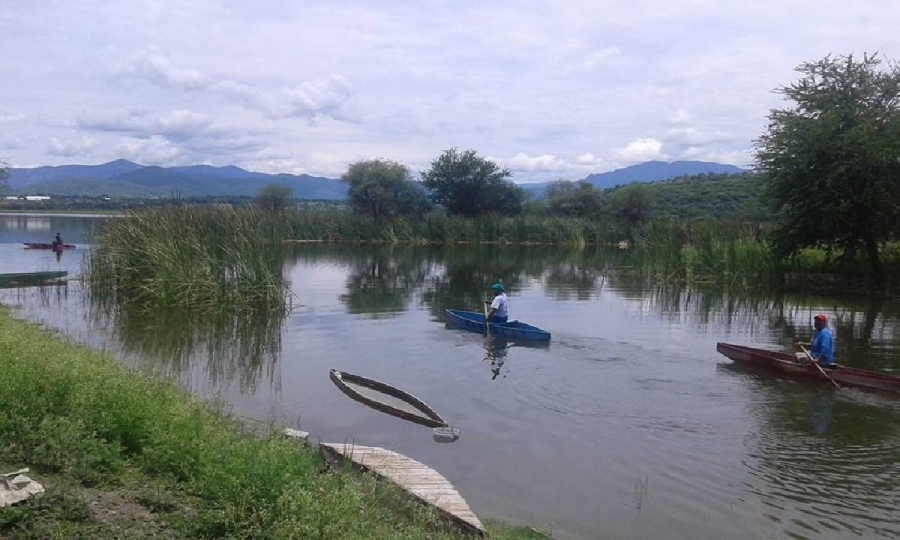 Vecinos de Coatetelco y El Rodeo sí pueden pescar en las lagunas para consumo personal