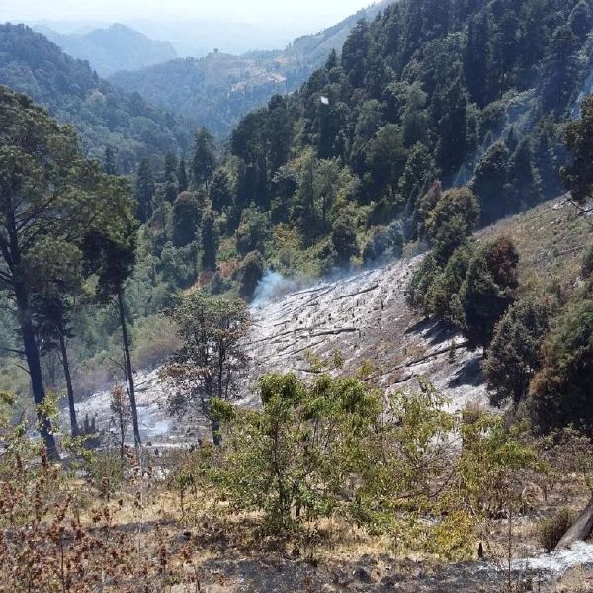 Liquidan incendios forestales en Huitzilac y Tetela del Volcán