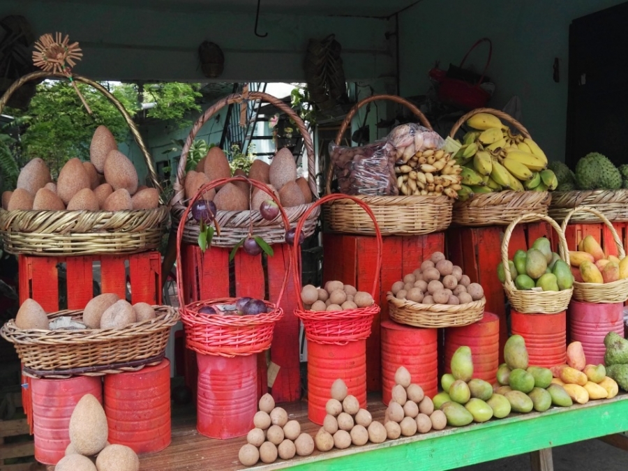 Reconoce ayuntamiento la falta de apoyos a productores de fruta  de Coatlán del Río