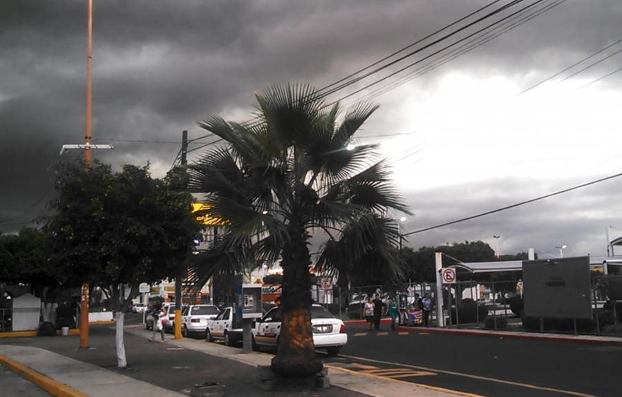 Temperaturas en zonas altas de Morelos no han bajado en extremo