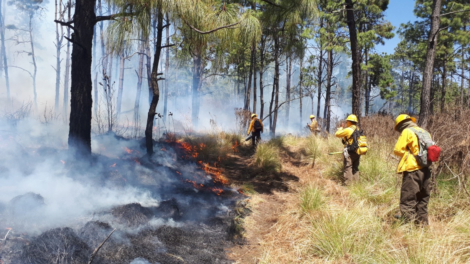 Continúa combate a incendios forestales en Morelos