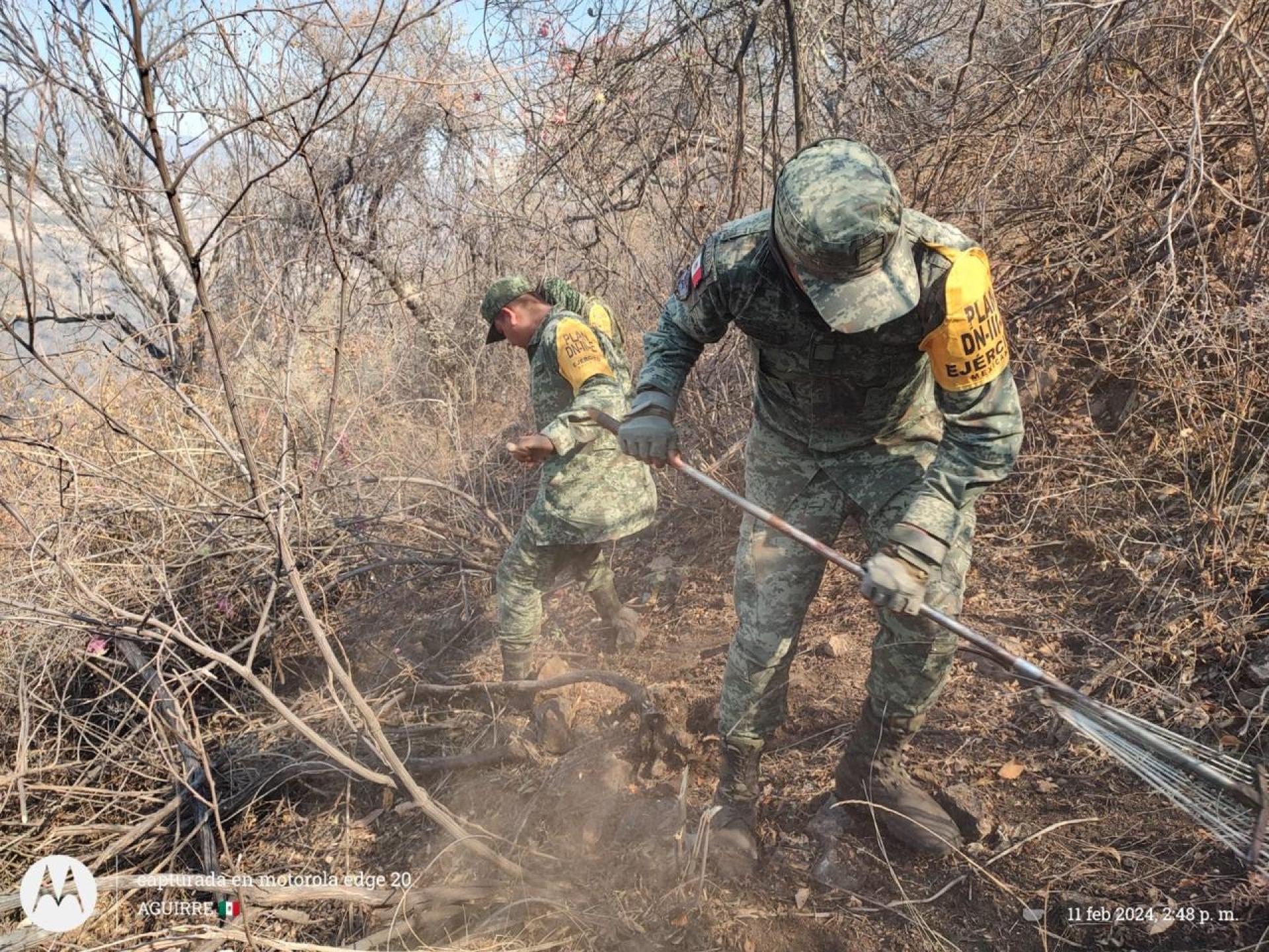 Trabajo conjunto con personal militar para mitigar incendio forestal en cerro 'El Jumil'