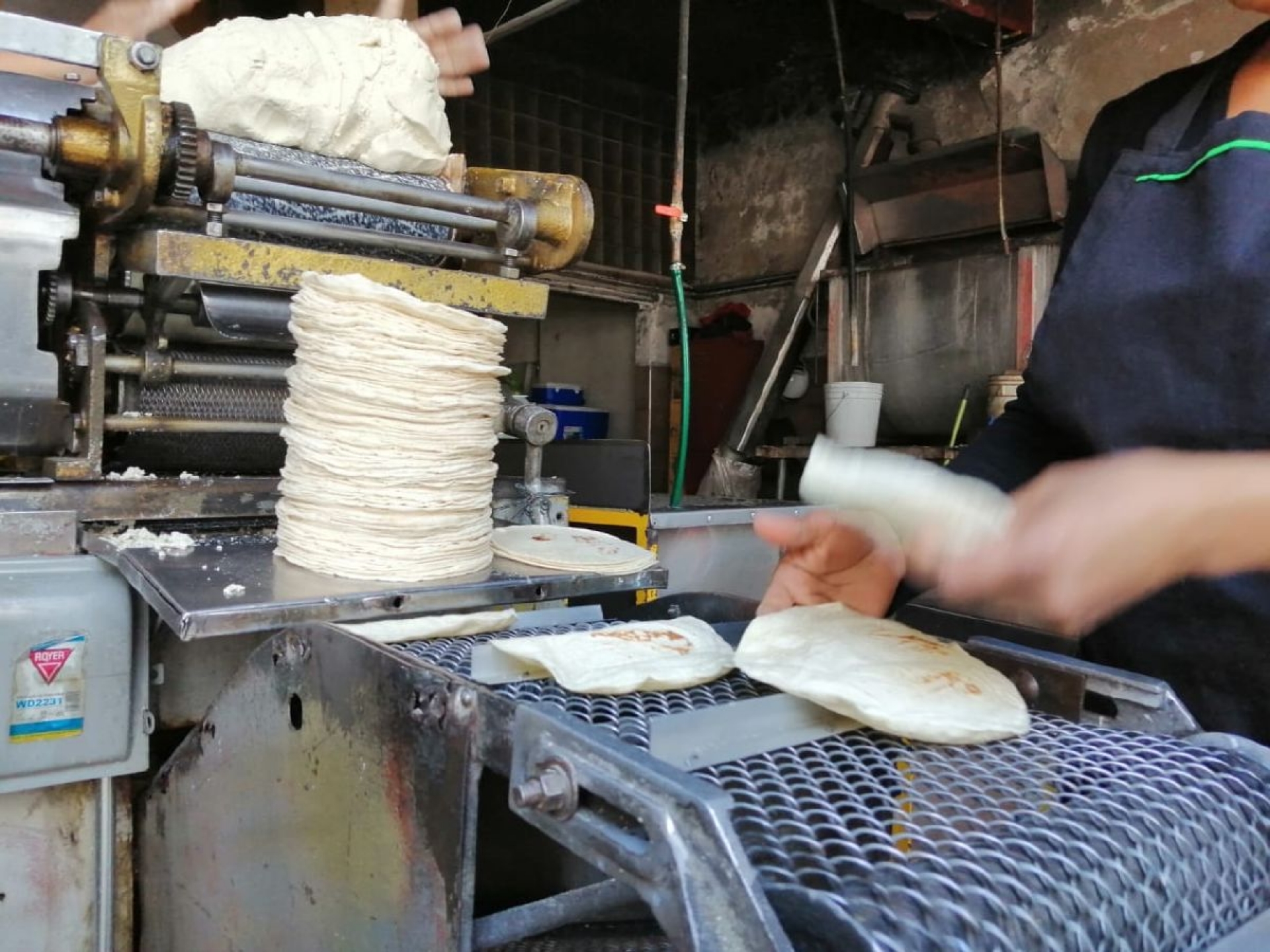Tortilla, a 20 pesos el kilo