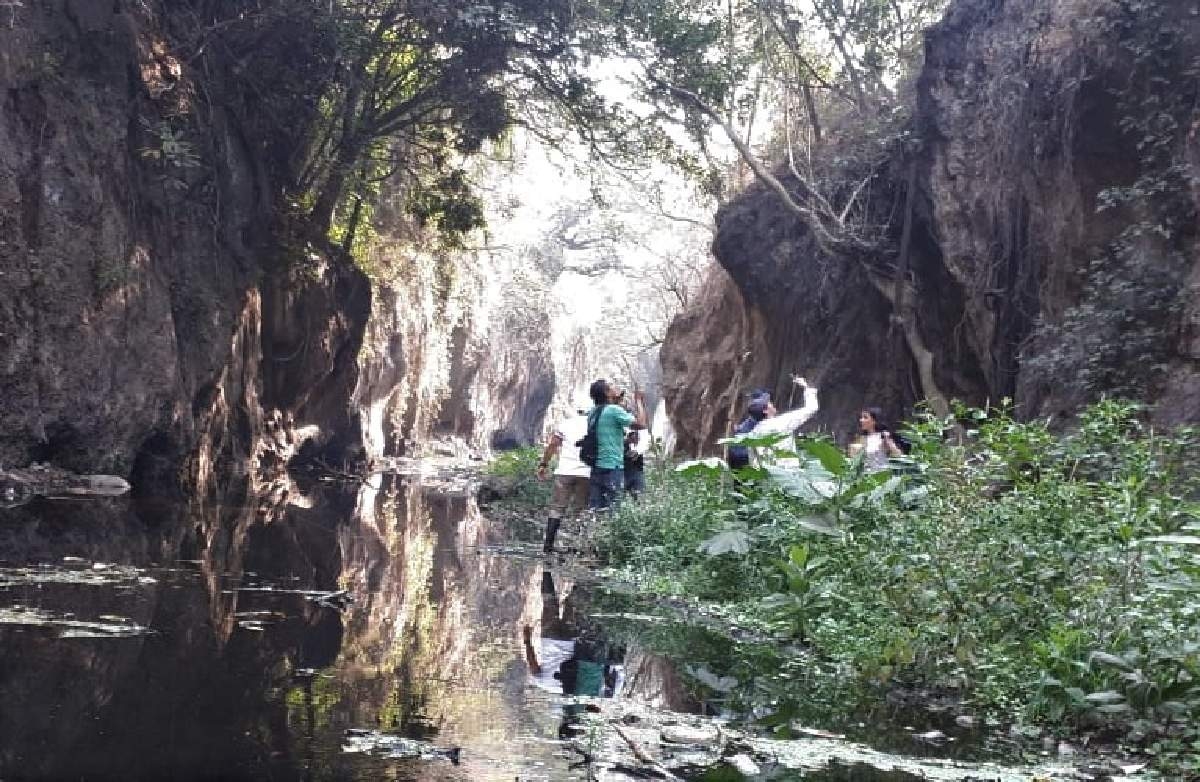 Urgen ambientalistas acciones urgentes para salvar el Bosque de Agua