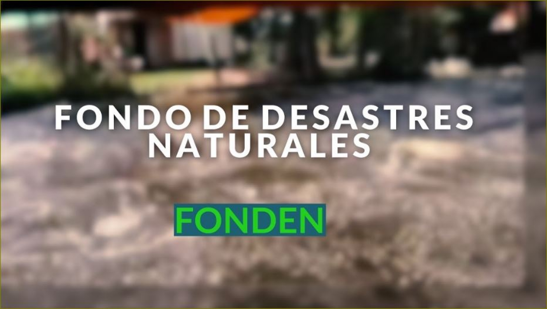 Se opone Protección Civil a desaparición del Fonden