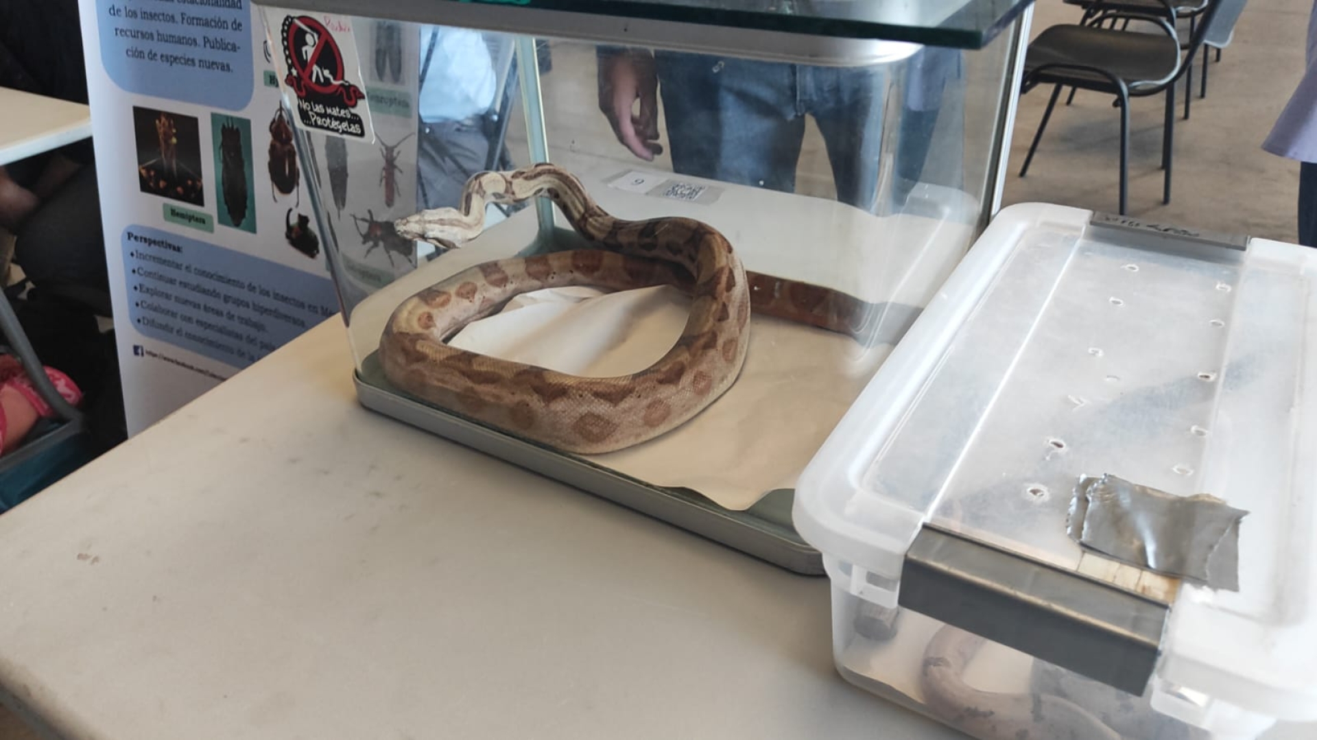Realiza CIByC 'Segundo festival de la conservación biológica 2024' en la UAEM