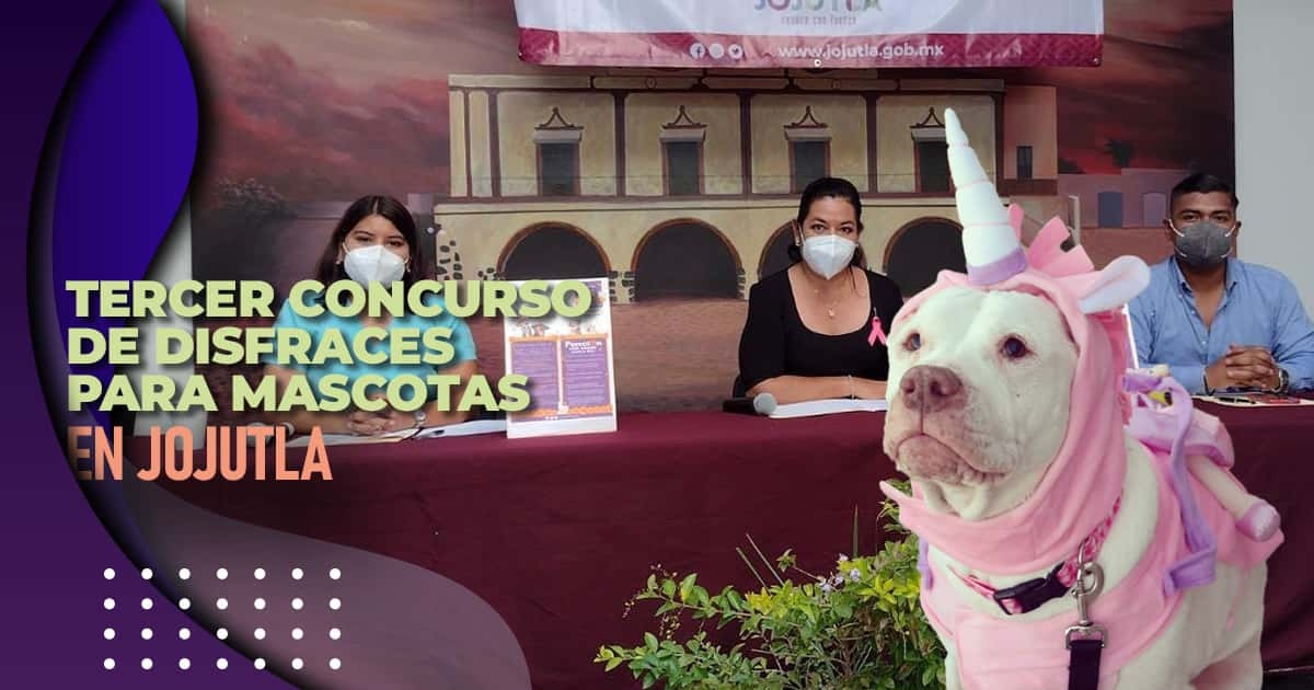 Anuncian tercer concurso de disfraces para mascotas en Jojutla