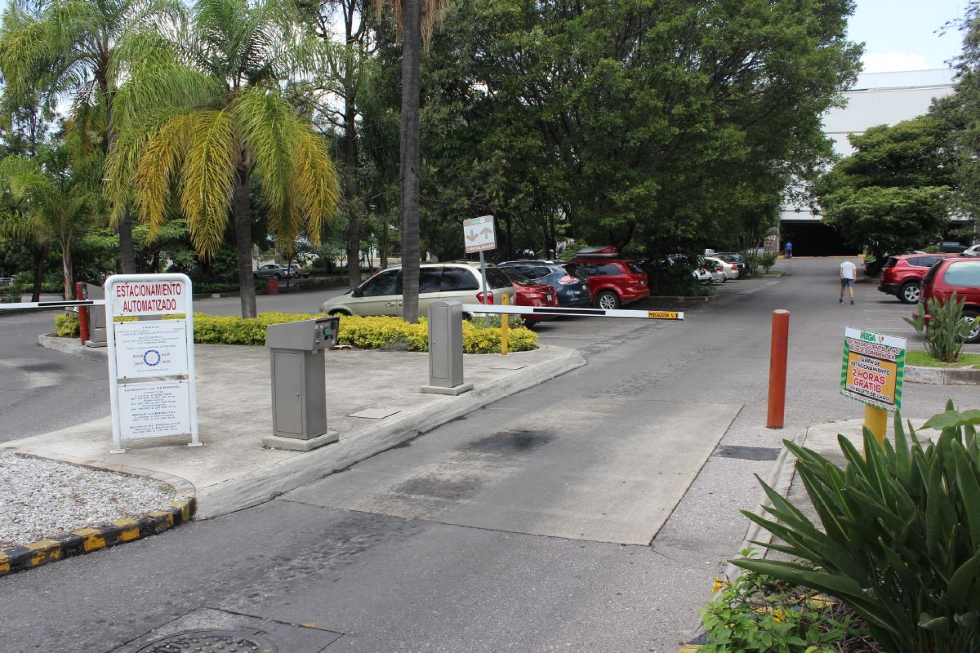No existe censo de estacionamientos en Cuernavaca