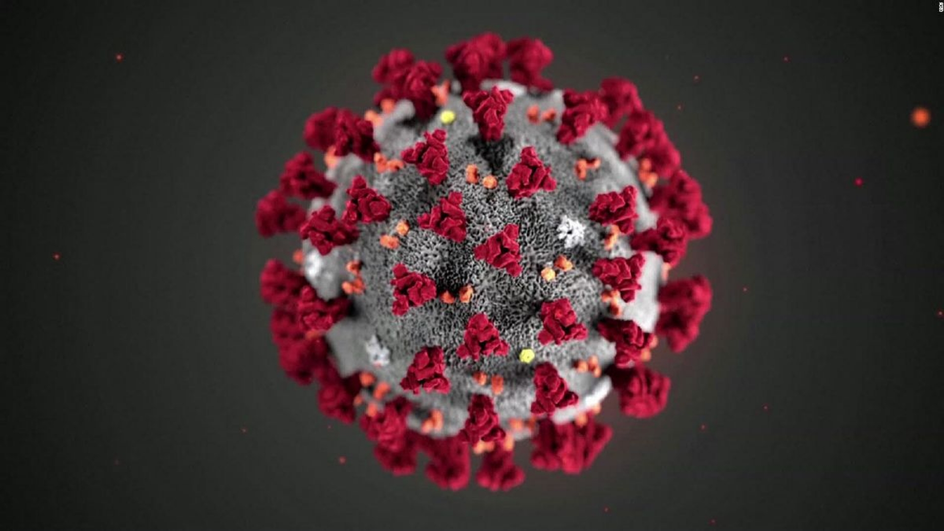 Urge que López-Gatell instale muchos centros para la detección del virus Corona19