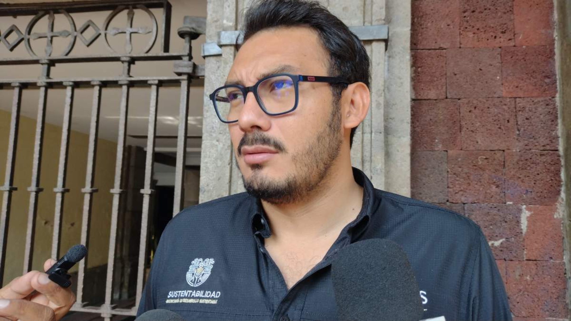 Mantienen SDS y Profepa operativos contra tala de árboles