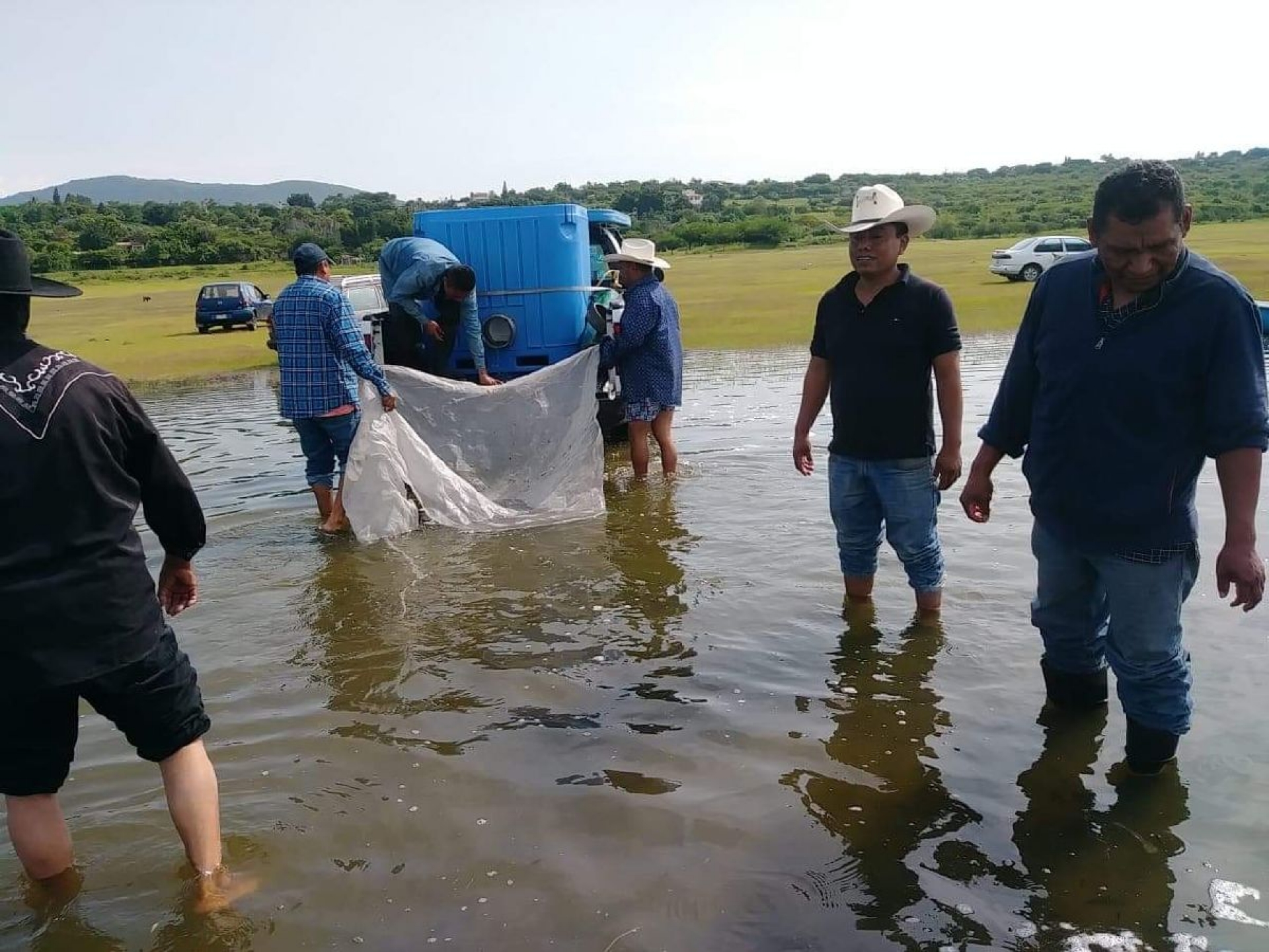 Siembran 100 mil mojarras en El Rodeo y Coatetelco