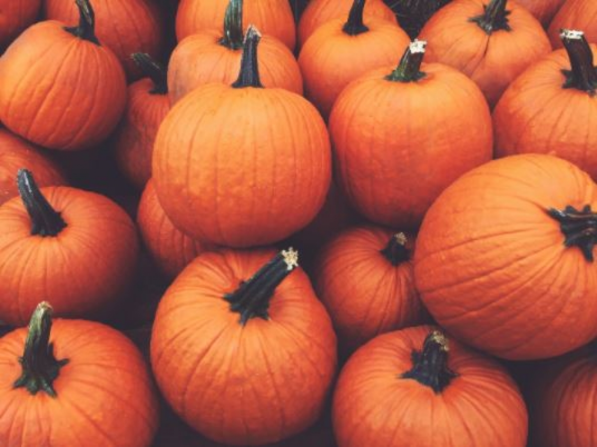 Recetas con calabaza para consentir a tu familia en otoño